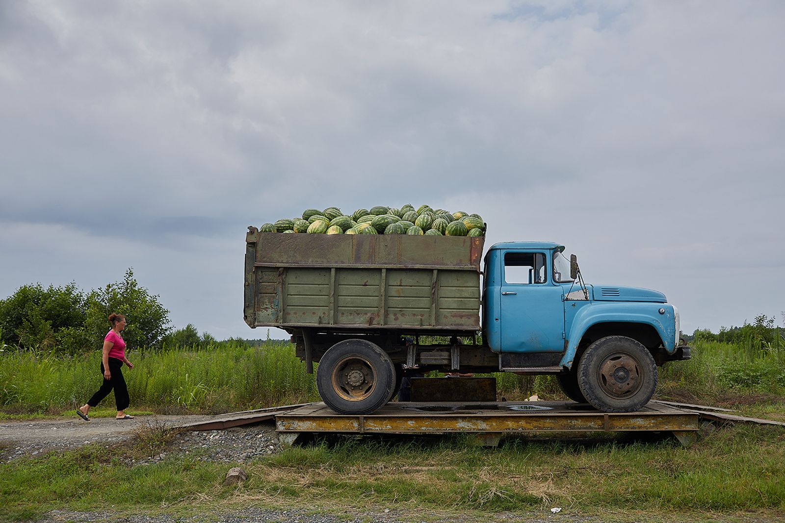 © Ksenia Kuleshova - Abkhazia, Adzyubzha, 19/07/2019. Watermelons loading.