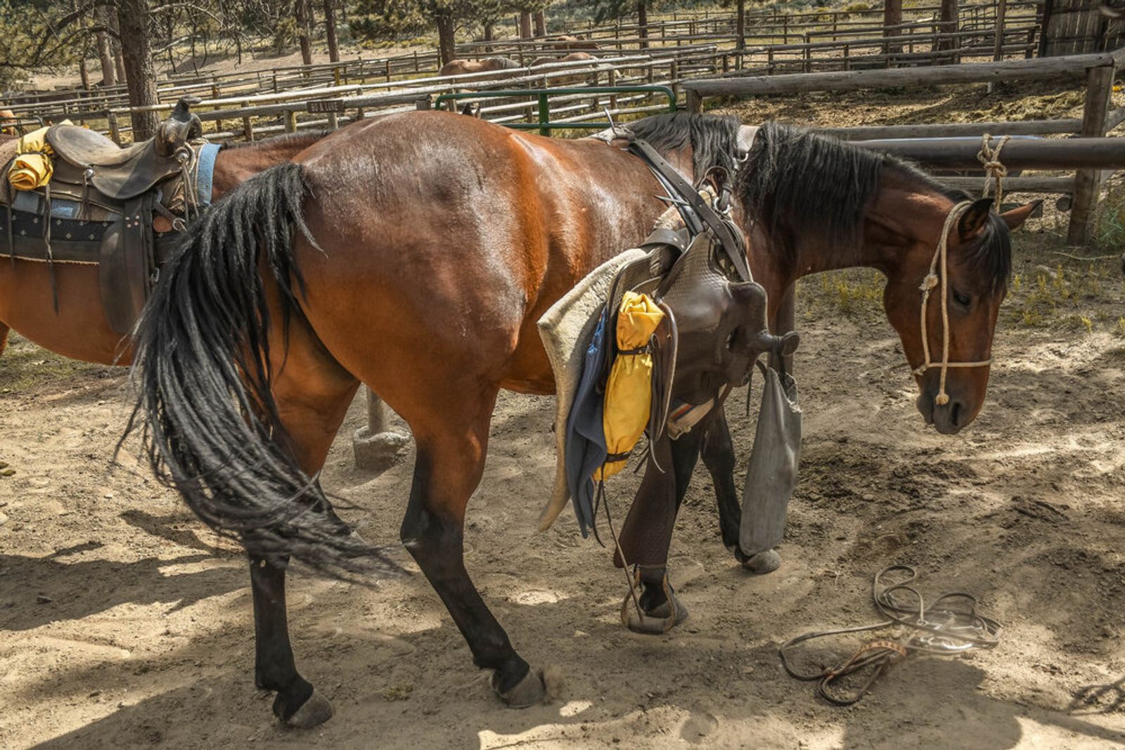 © Anna Droddy - Image from the Barn Sour photography project