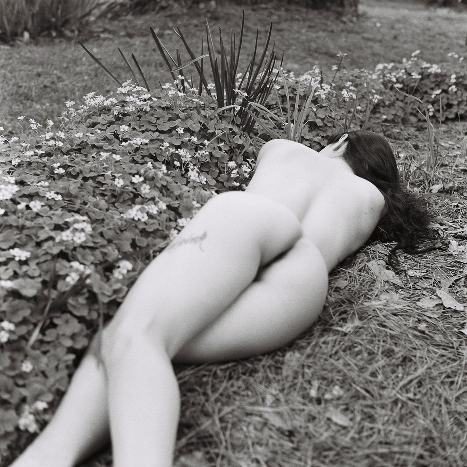 © Amanda Casey Ray - Image from the Belle Mélancolie photography project