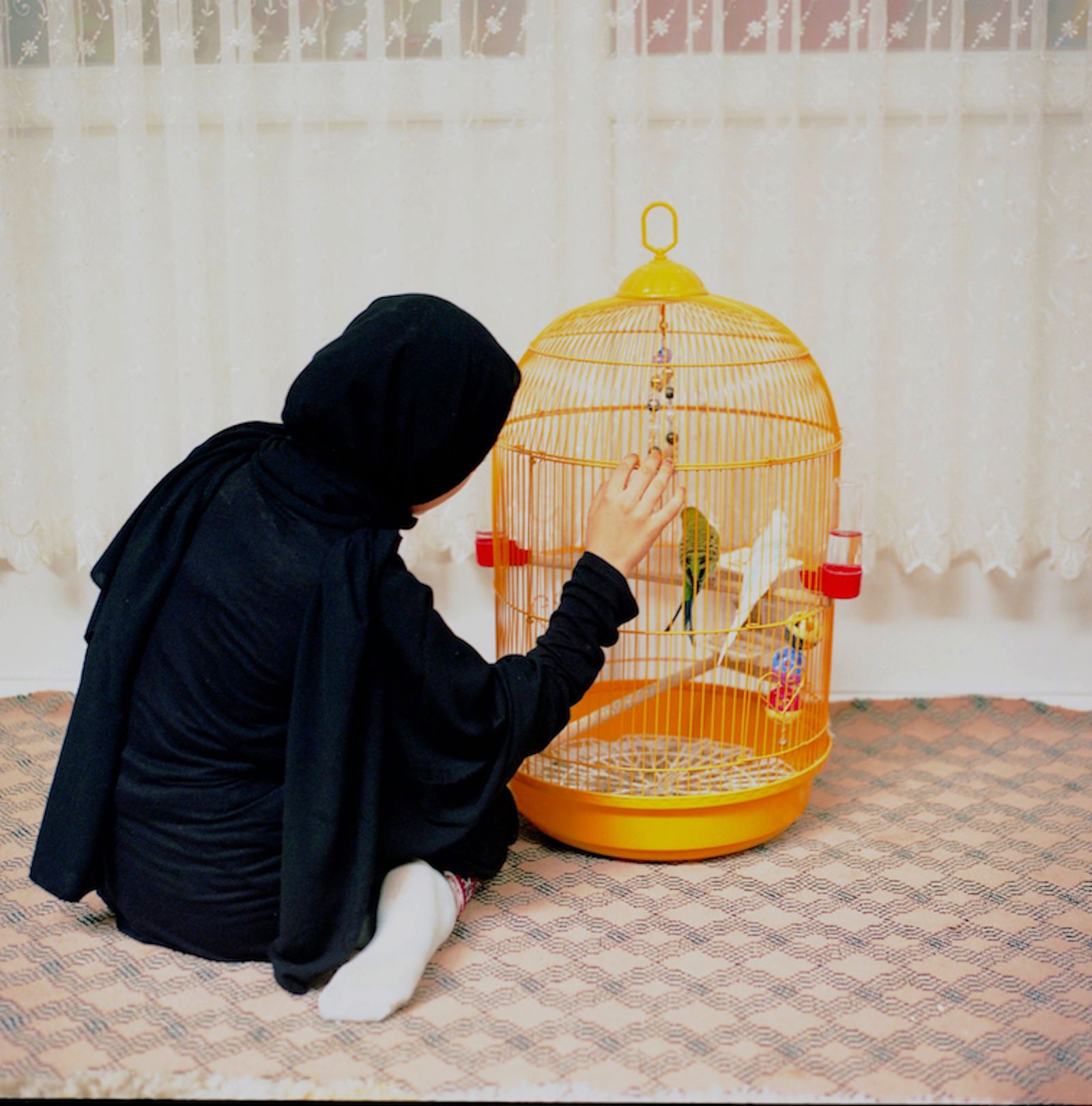 © Sabiha Çimen - Yellow Bird Cage. Turkey-Rize Asya is playing with lovebirds in the cage in Hodja’s room.