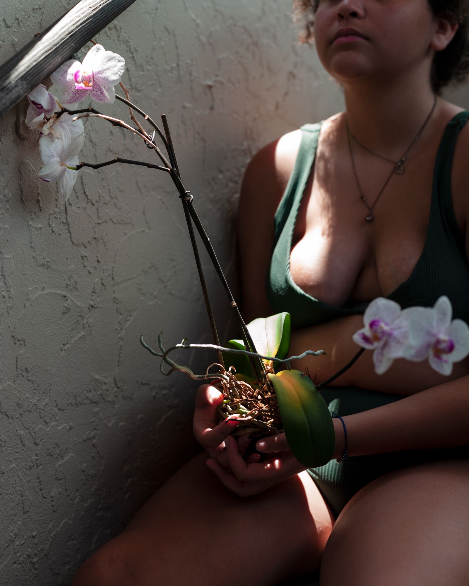 © Alana Perino - Dad's Orchid