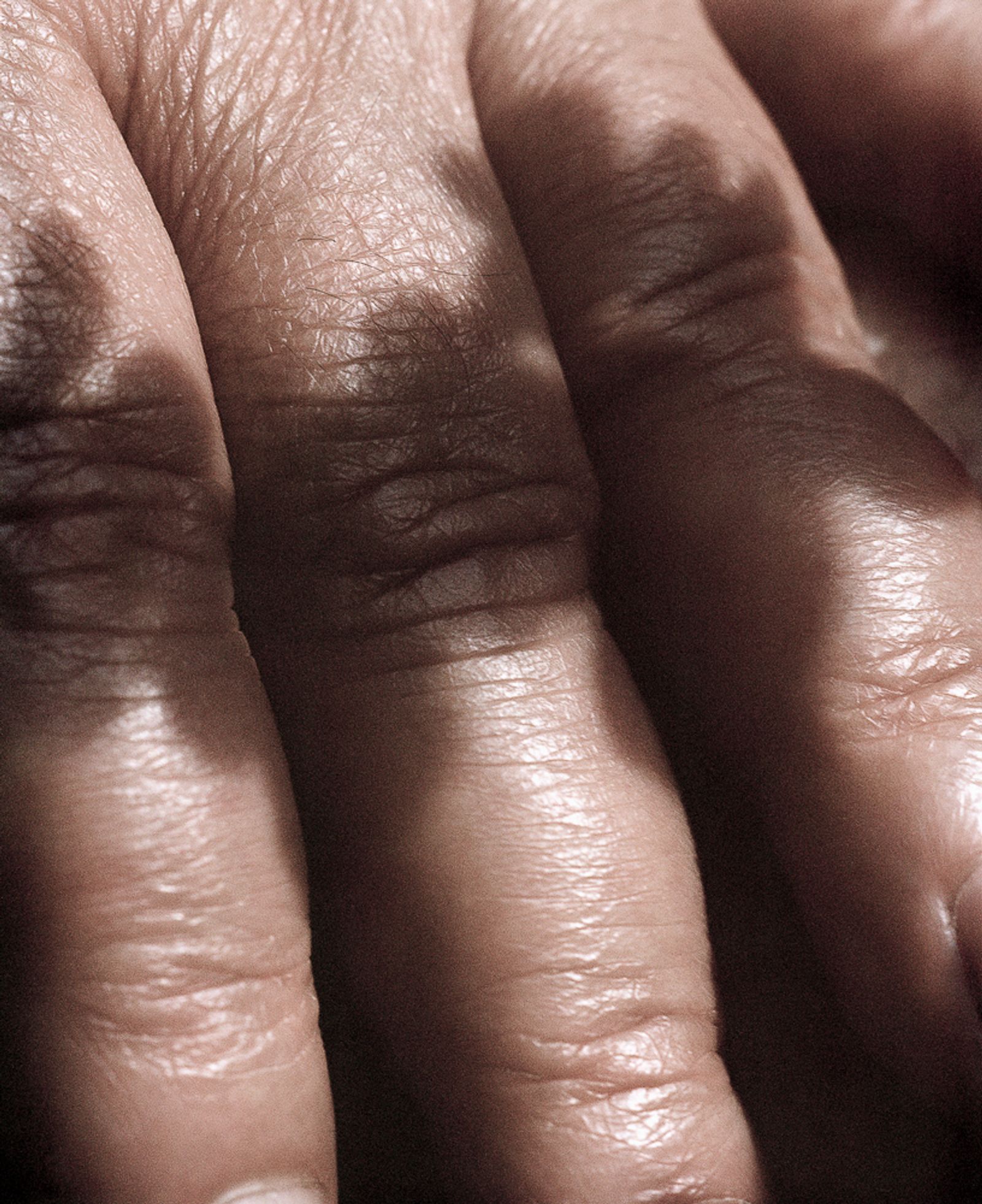 © Rita Puig-Serra Costa - Image from the Anatomy of an Oyster photography project