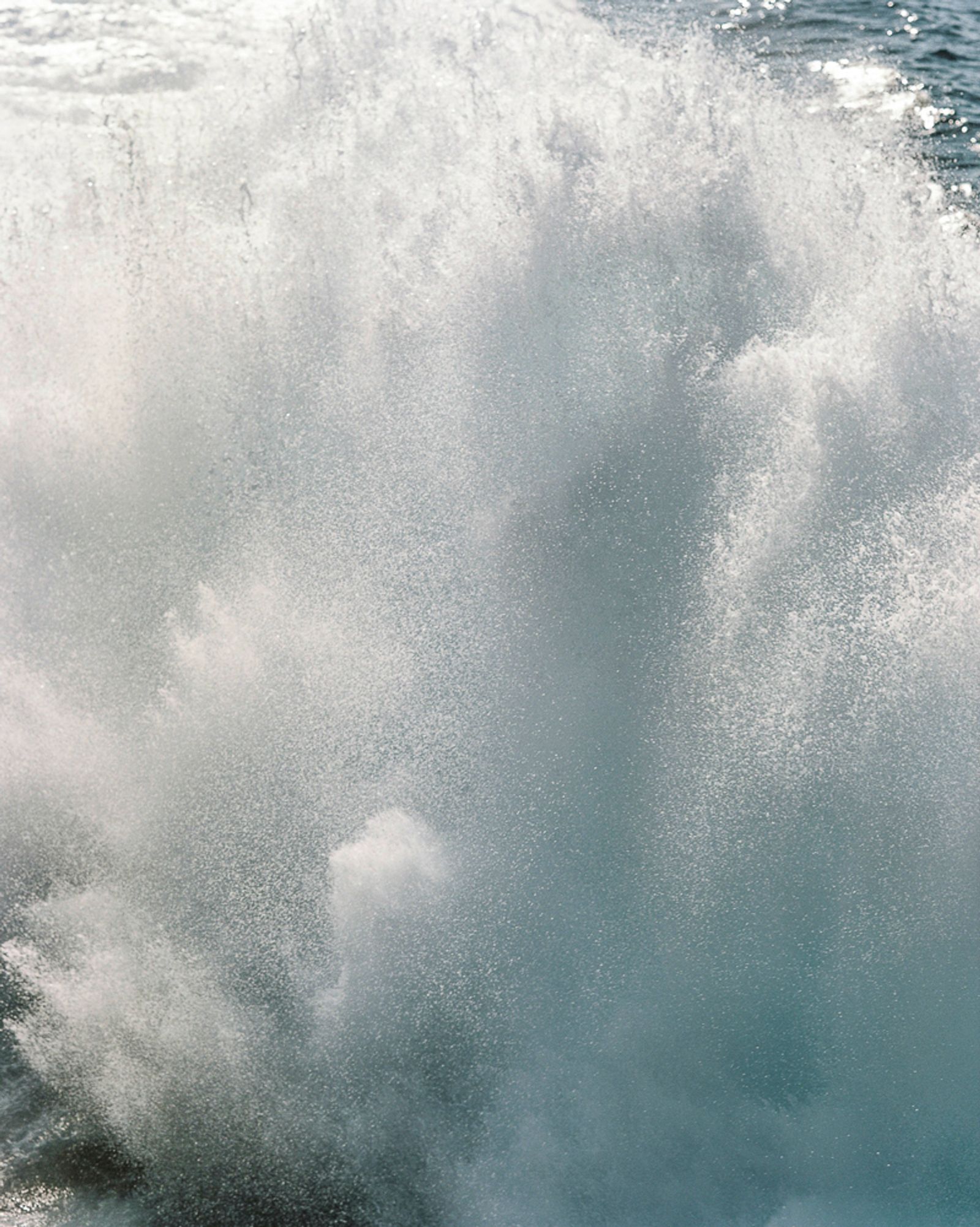 © Rita Puig-Serra Costa - Image from the Anatomy of an Oyster photography project