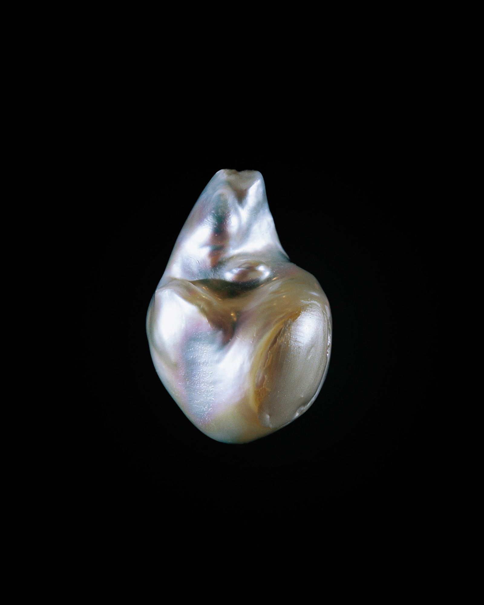 © Rita Puig-Serra Costa - Image from the Anatomy of an oyster photography project