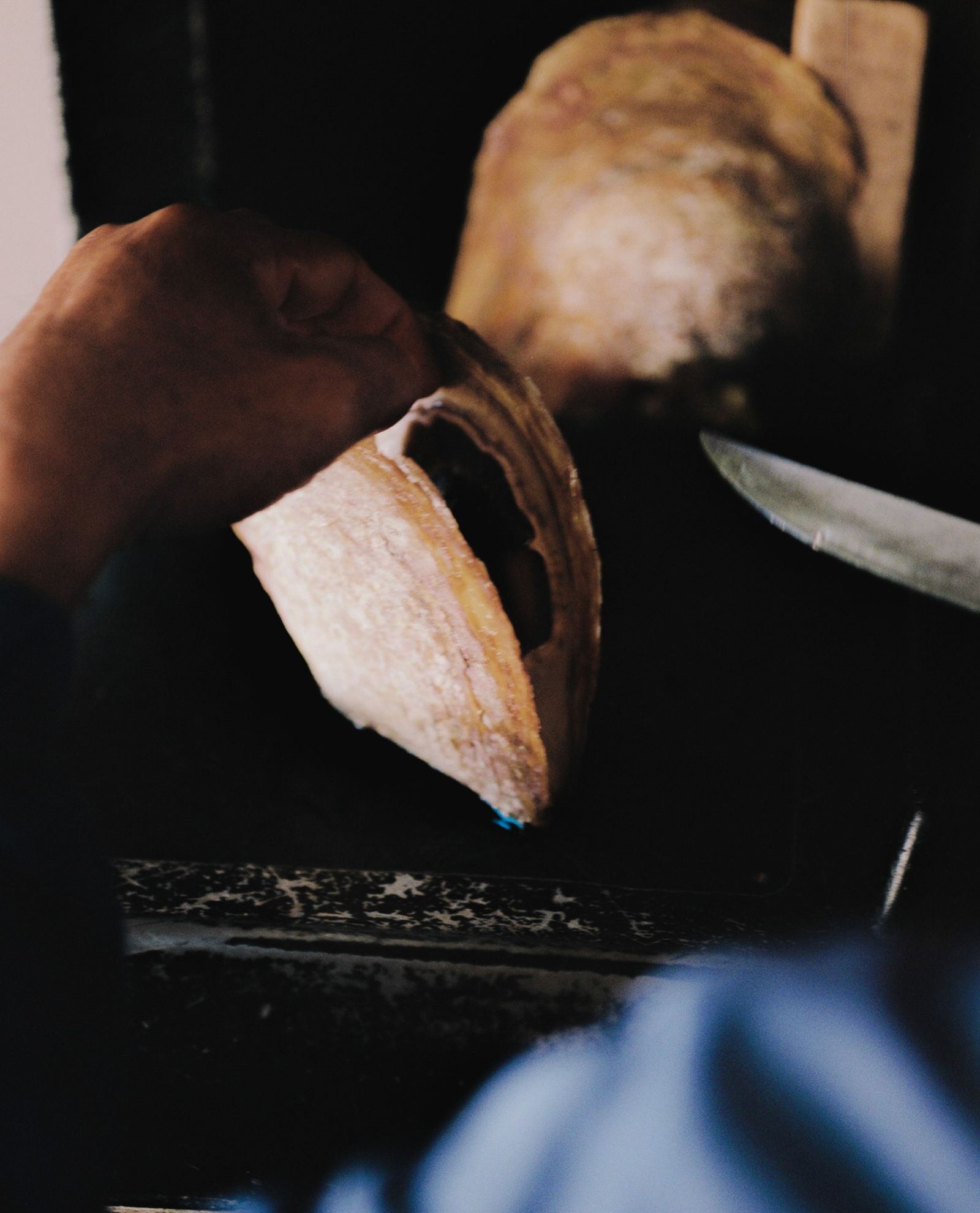 © Rita Puig-Serra Costa - Image from the Anatomy of an oyster photography project