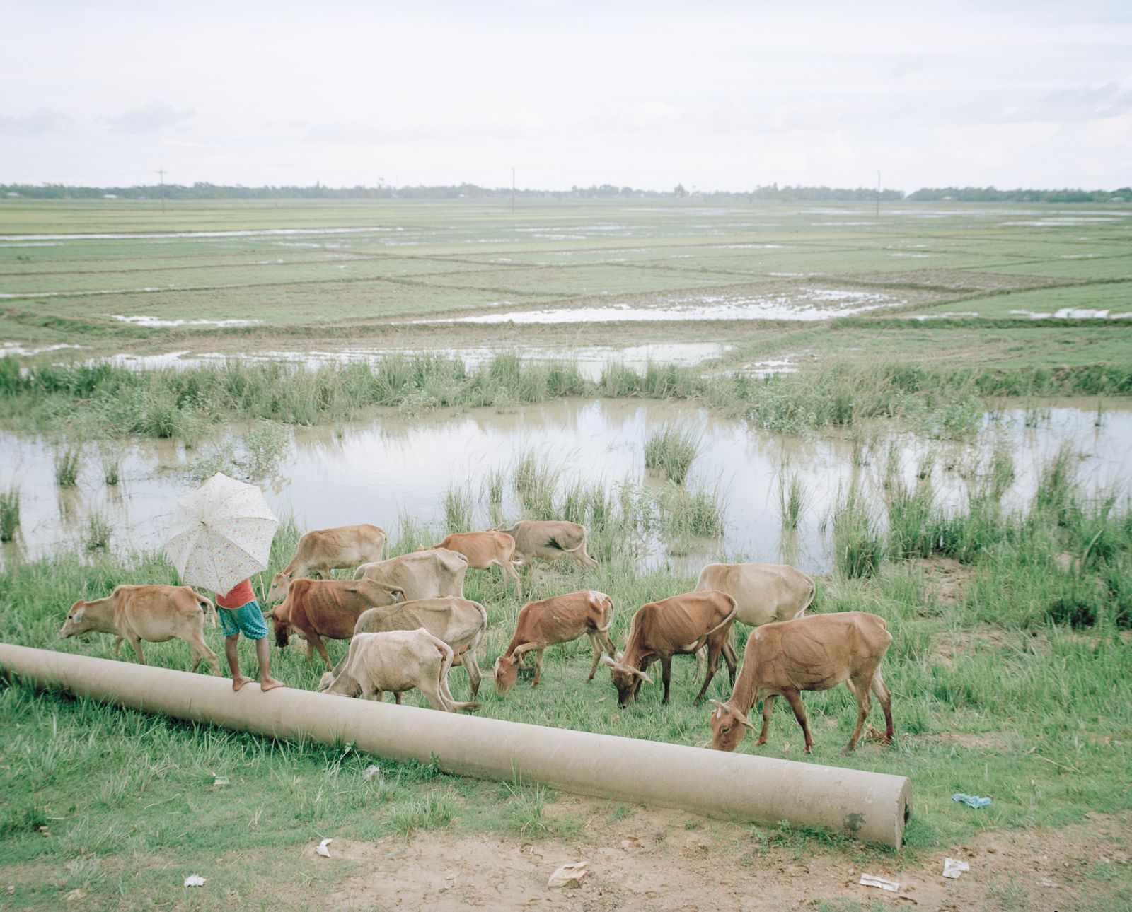 © Shunta Kimura - Image from the The Chronicle of Us photography project