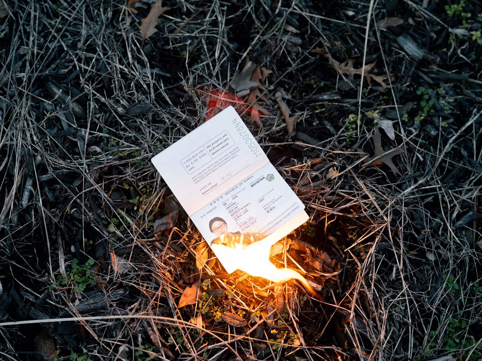 © Hyerim Hwang - Image from the Mother Tongue photography project