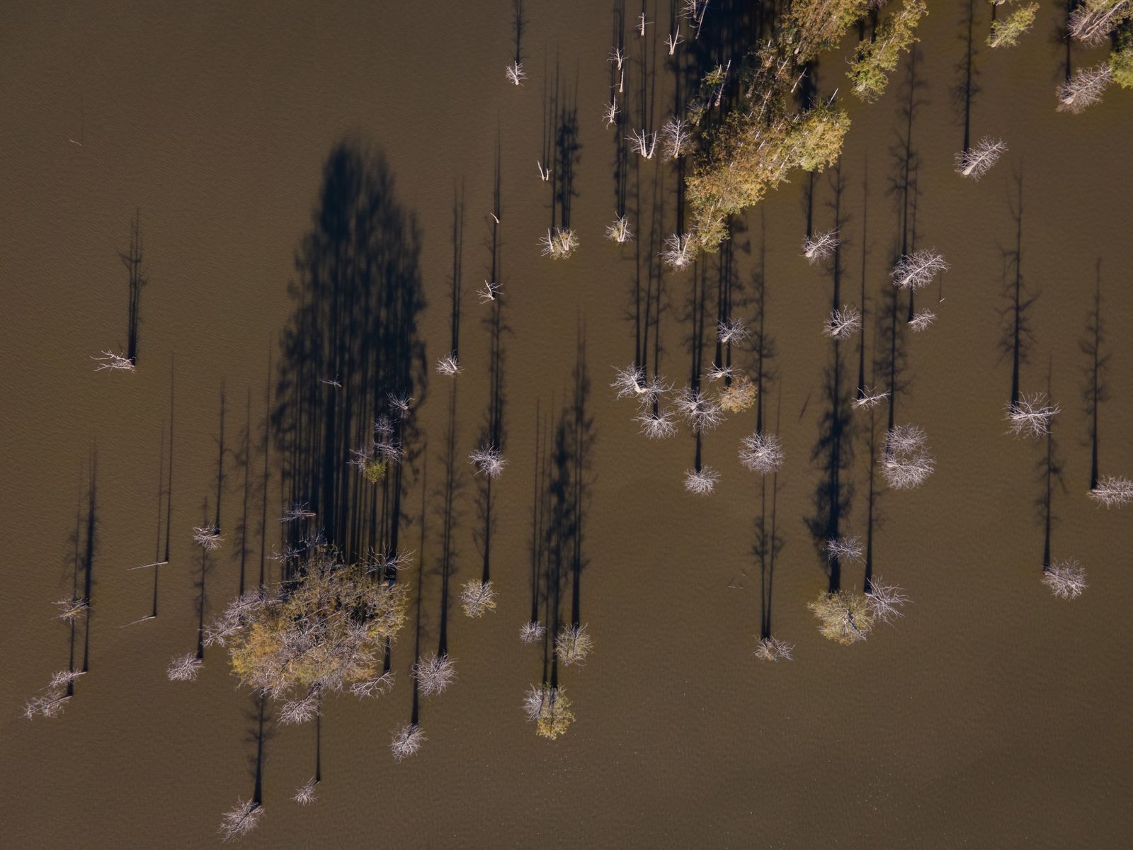 © Rory Doyle - Cypress trees decorate the landscape of a small oxbow lake on the Mississippi River near Fort Adams, Mississippi, USA.