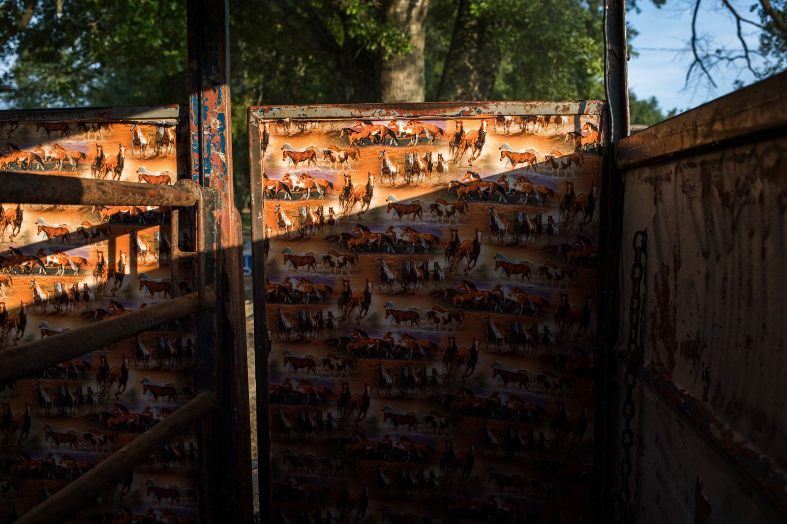 © Rory Doyle - Afternoon lights casts on a horse trailer in Bolivar County, Mississippi on Aug 20, 2017.