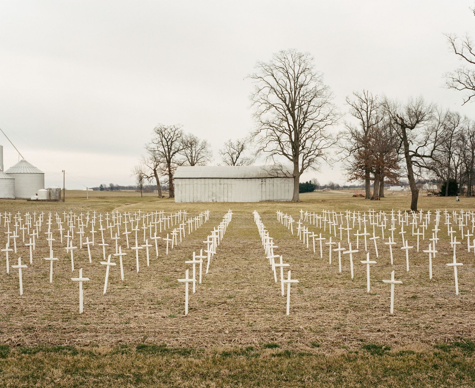© Bailey Quinlan - “Cemetery of the Innocents” installed by anti-choice activists to memorialize aborted fetuses - Gibson County, IN