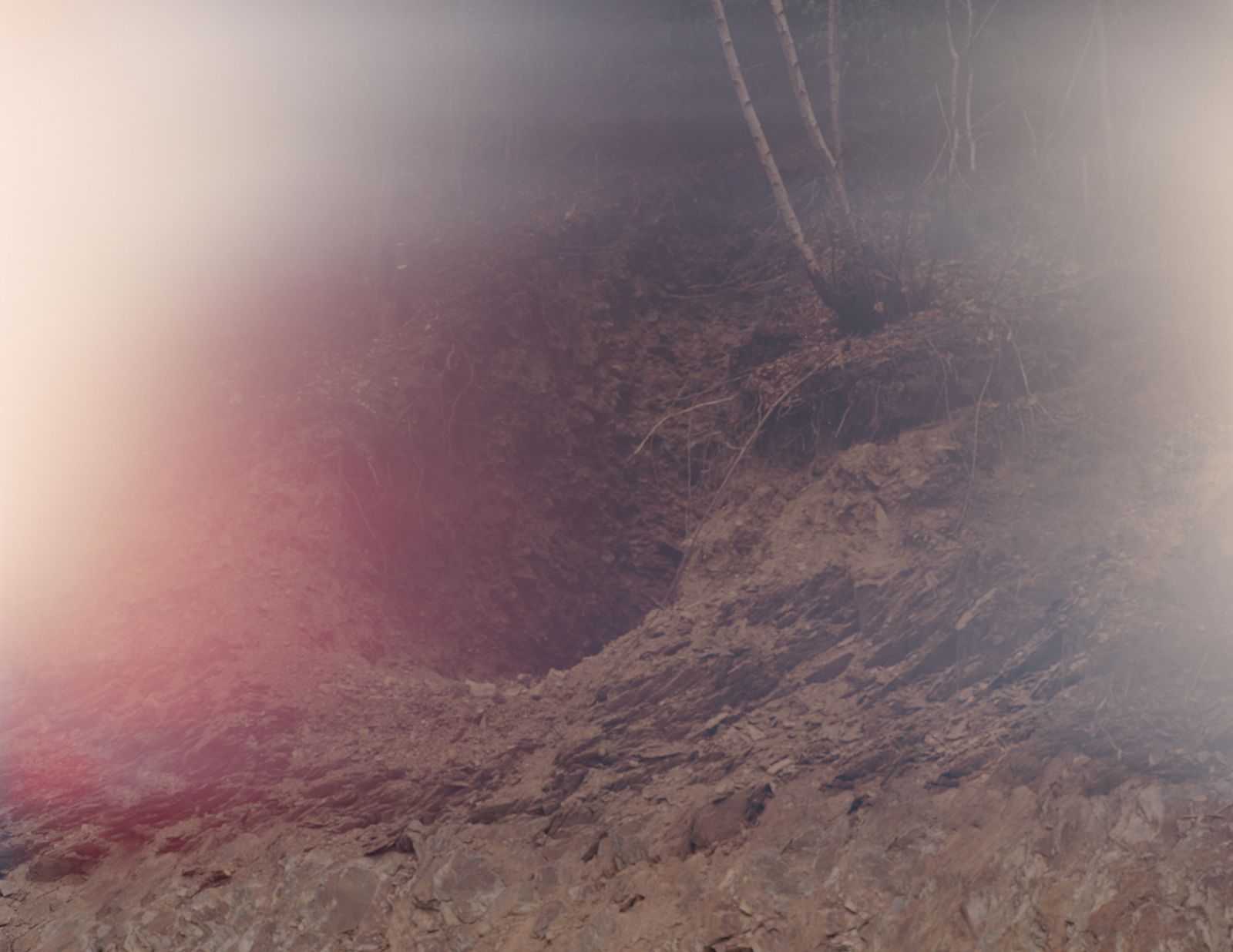 © Cinzia Romanin - Rare earths / Terre rare