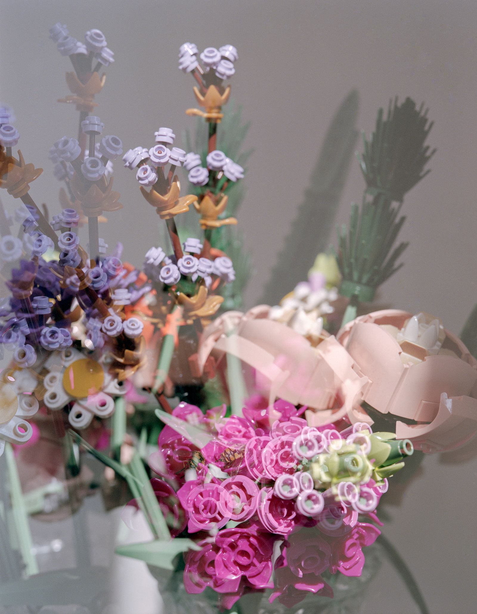 © Cinzia Romanin - Eternal petro-flowers / Eterni petro-fiori