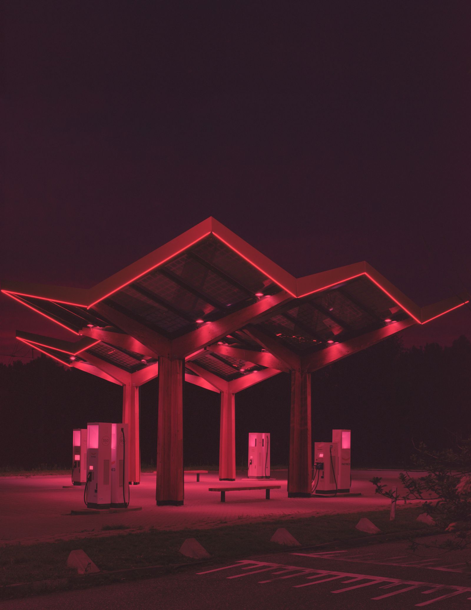 © Cinzia Romanin - Electrical canopy / Bosco elettrico