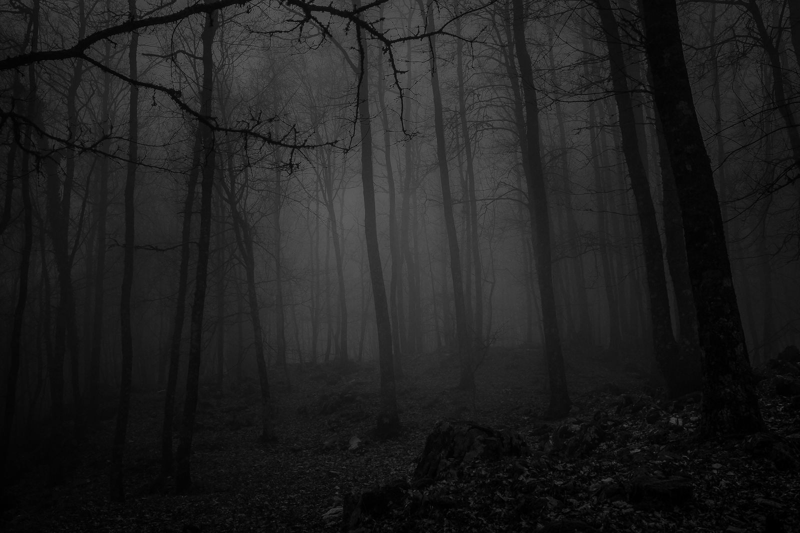 © Enrico Quattrini - The woods of the Aurunci mountains, where women tried to hide from the raids of the goumiers.