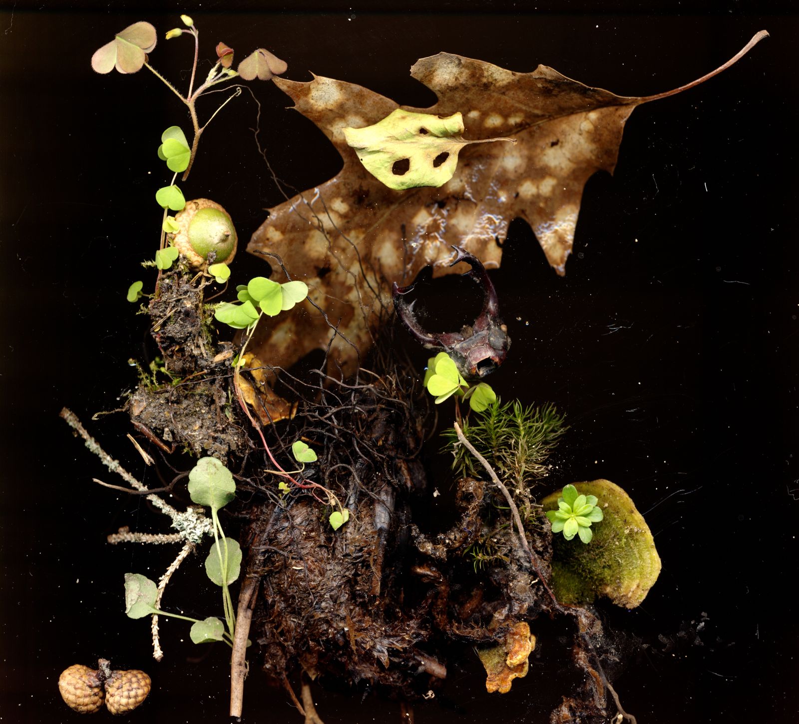 © Zani Arkadina - Image from the Building Lightscapes photography project