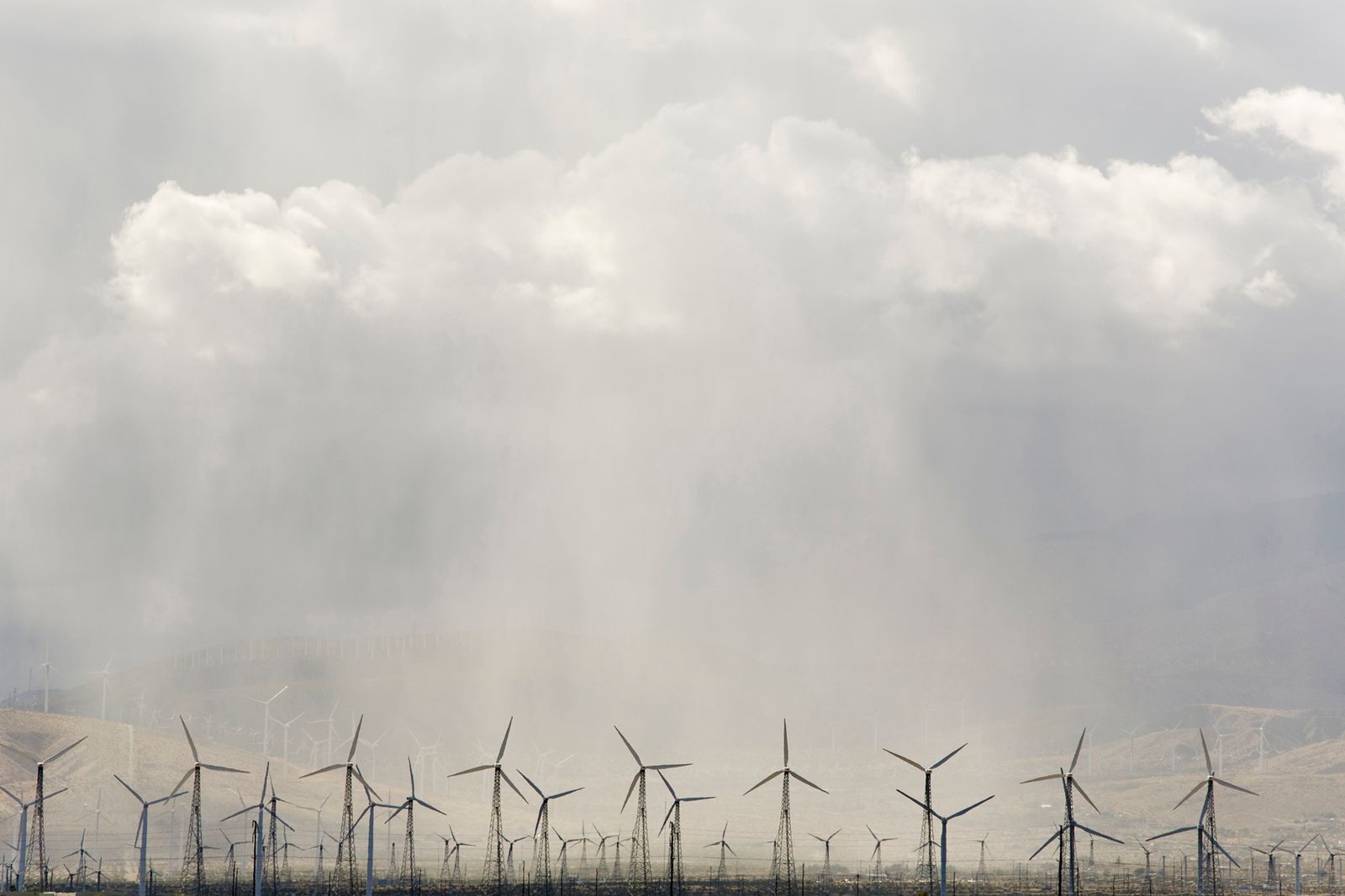 © David Gardner - San Gorgonio Pass Wind Farm. Palm Desert, CA. Study #10