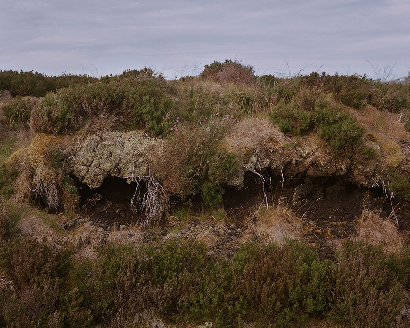 © Sophie Gerrard - Peat cross section, from the series 'The Flows'