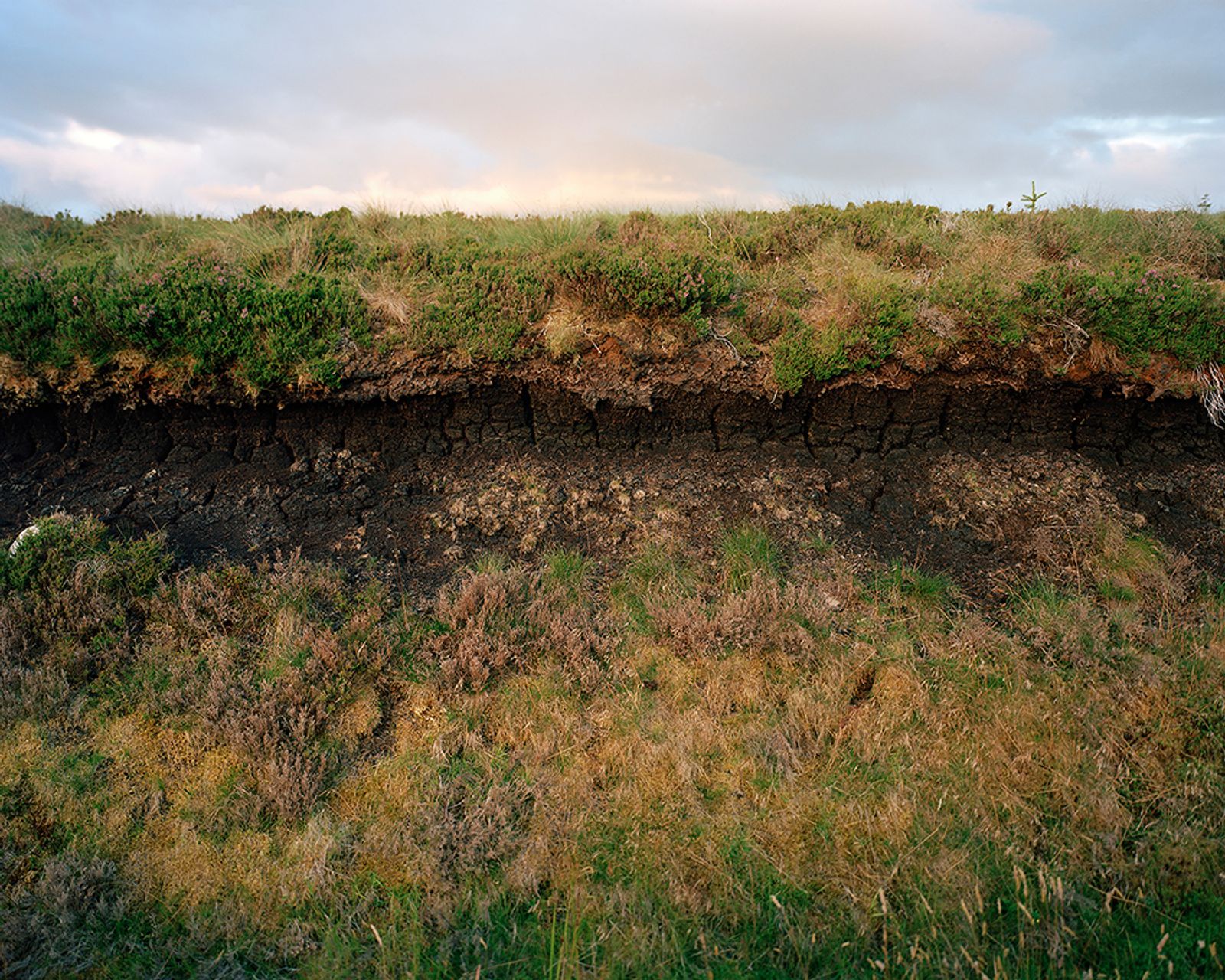 © Sophie Gerrard - Peat cross section, from the series 'The Flows'