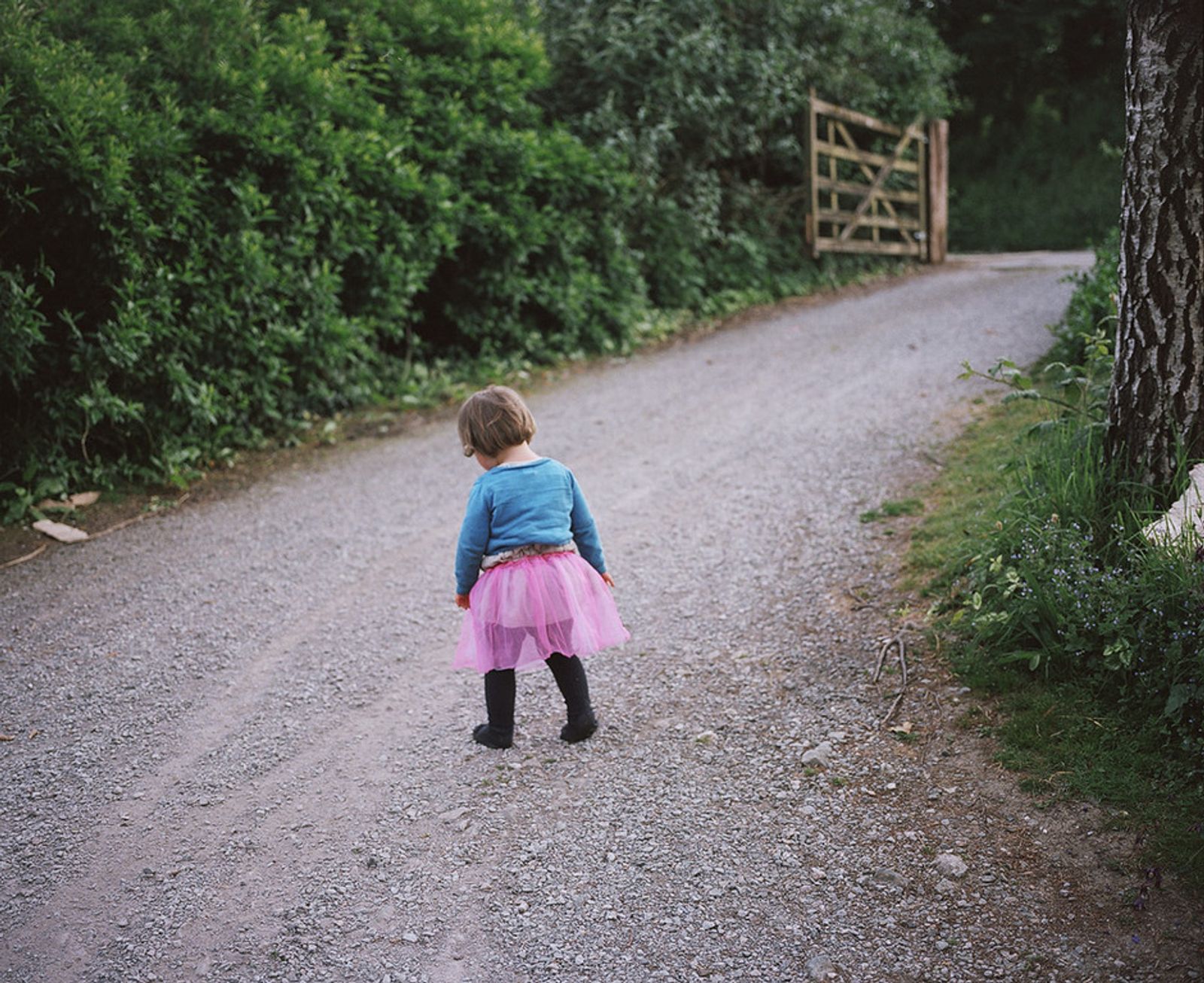 © Sian Davey - Image from the Looking for Alice photography project