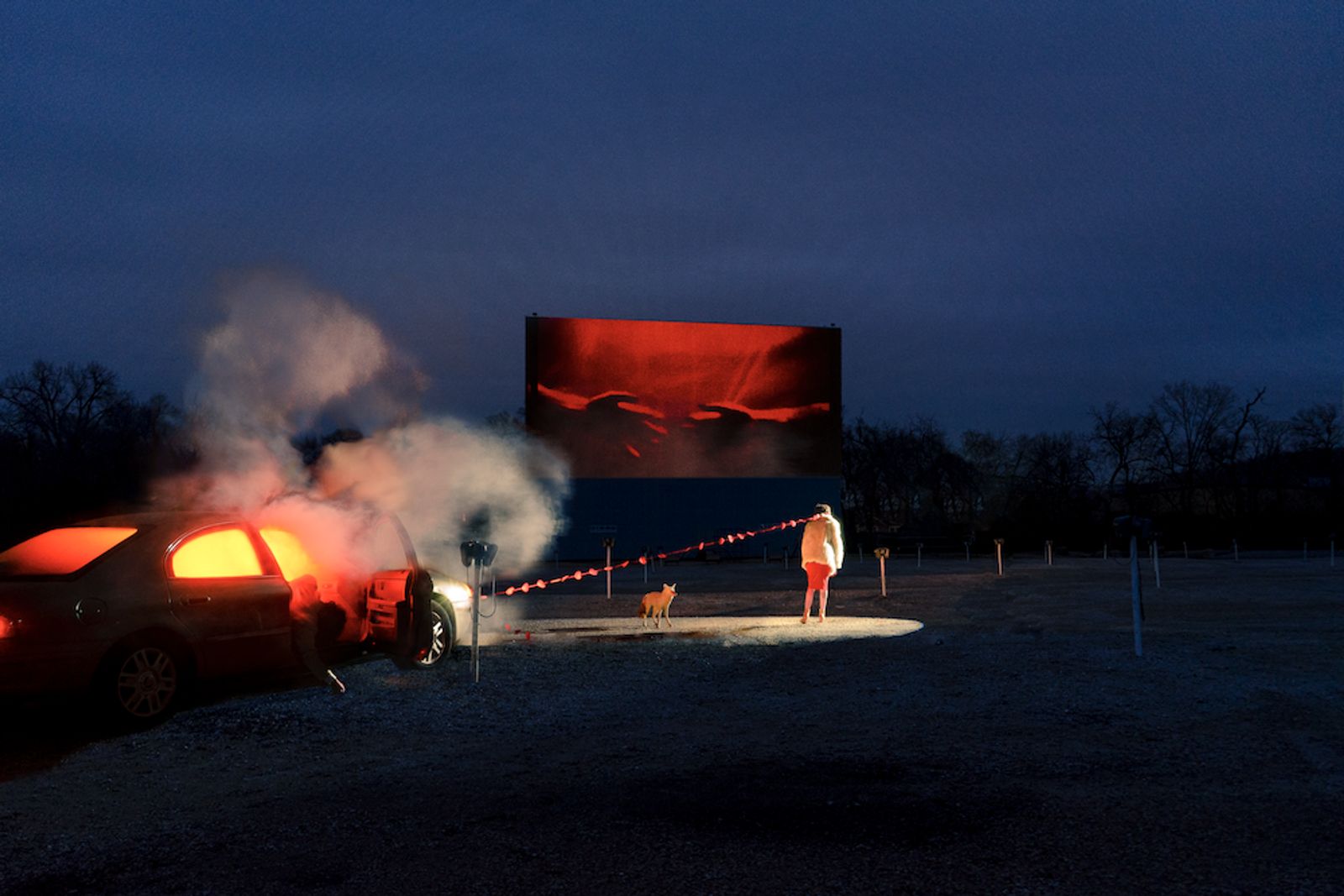 © Jack Holly - Image from the Evolution and Other Stories photography project