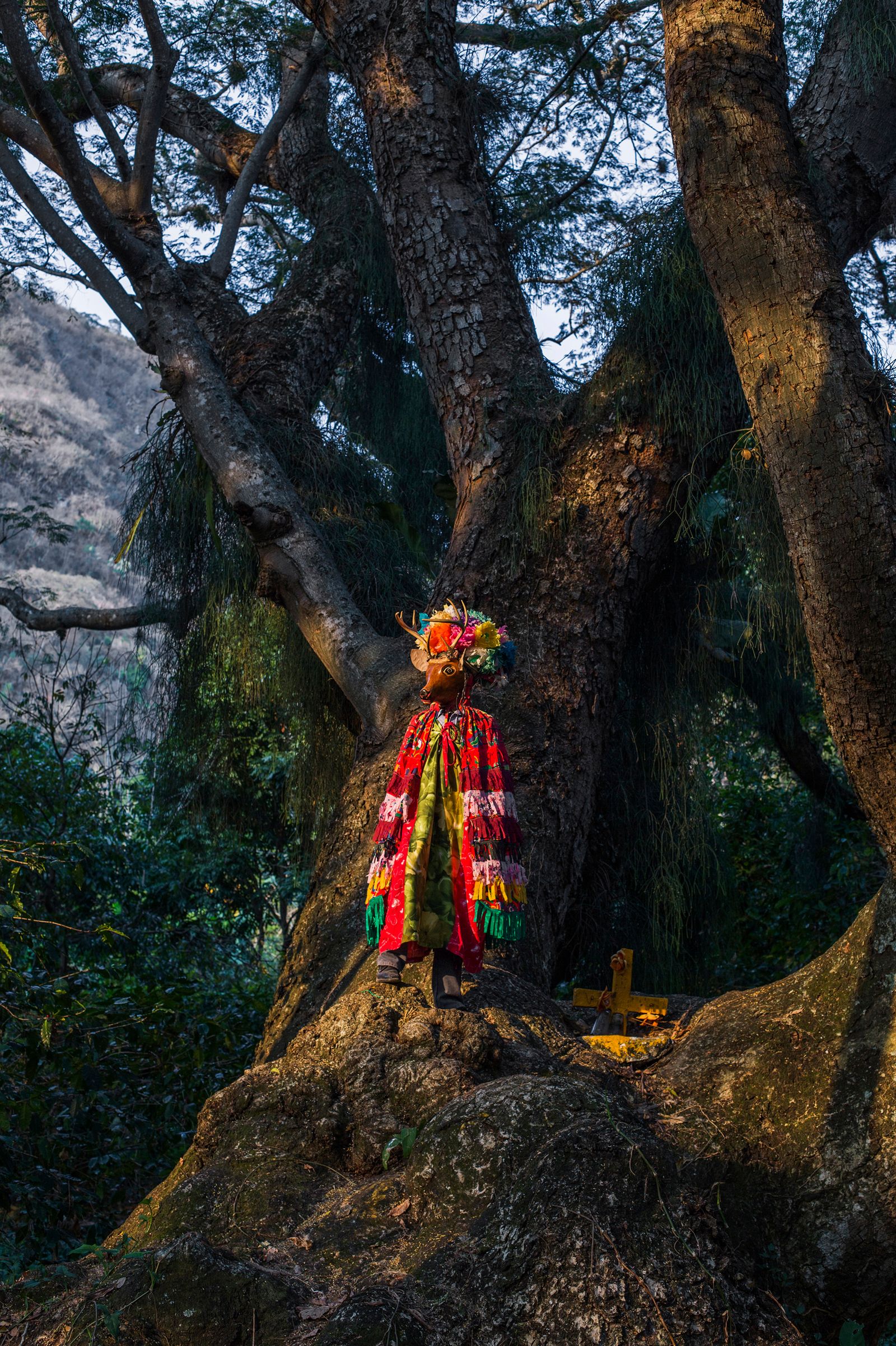 © Koral Carballo - Image from the Mystery of the Disguised. photography project