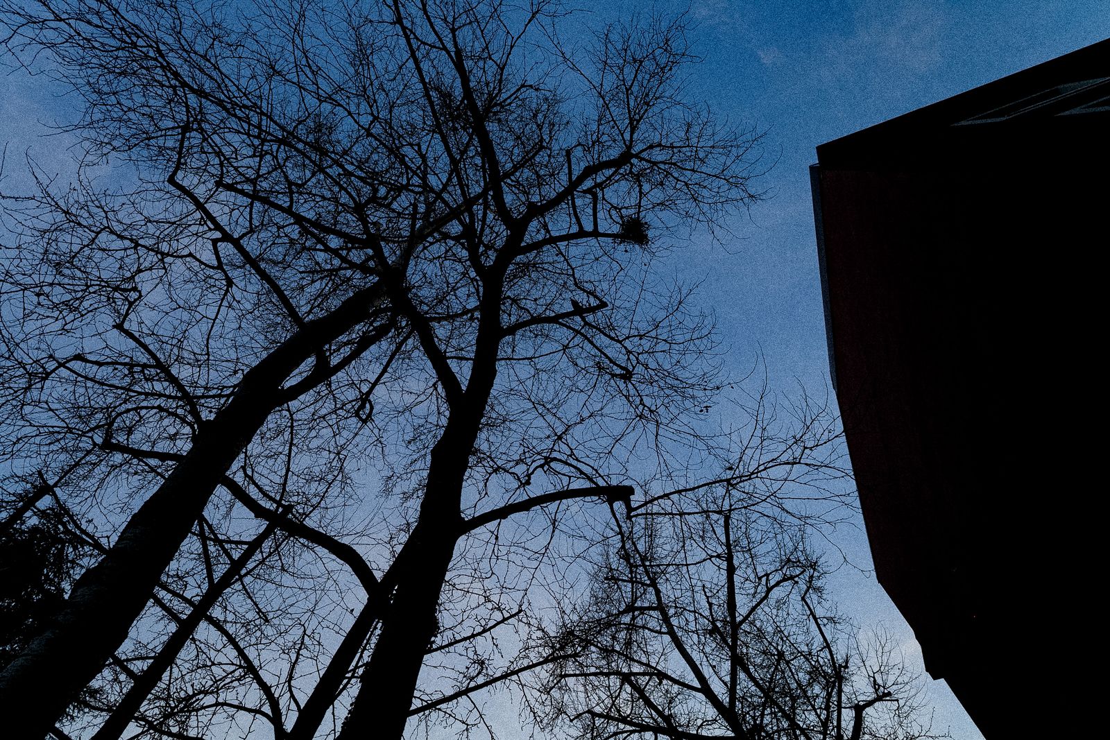 © Giovanni Gabassi - Image from the Down and up photography project