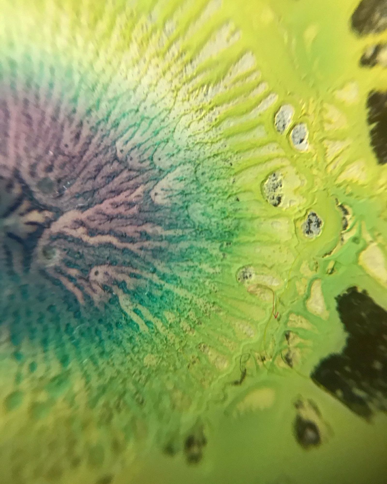 © Experimental Photo Festival - Image from the Ágora, School of Experimentation photography project