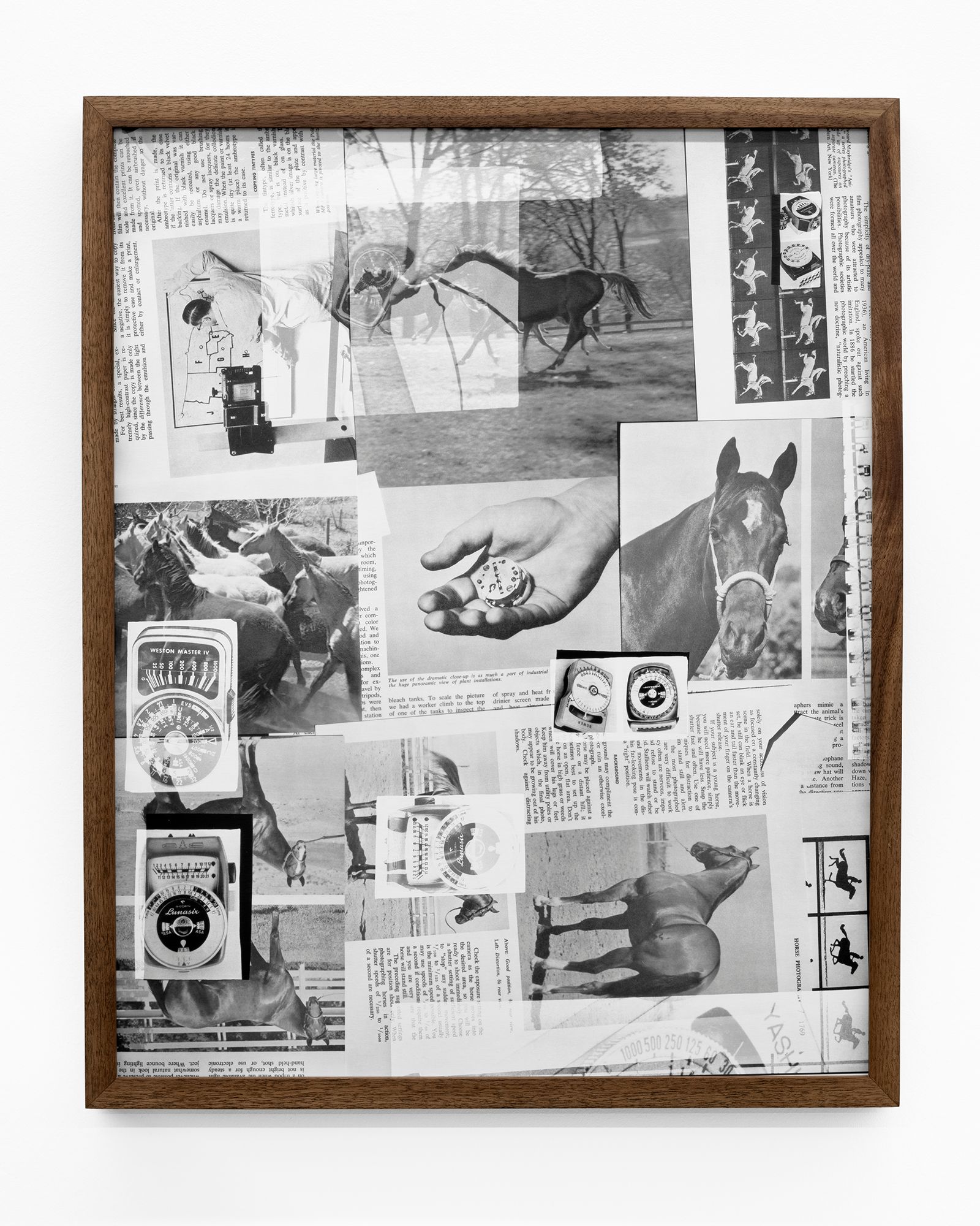 © Shawn Bush - Bernay's Handkerchief, 2023, 24x19 inches, Silver Gelatin Print in artist made Walnut Frame
