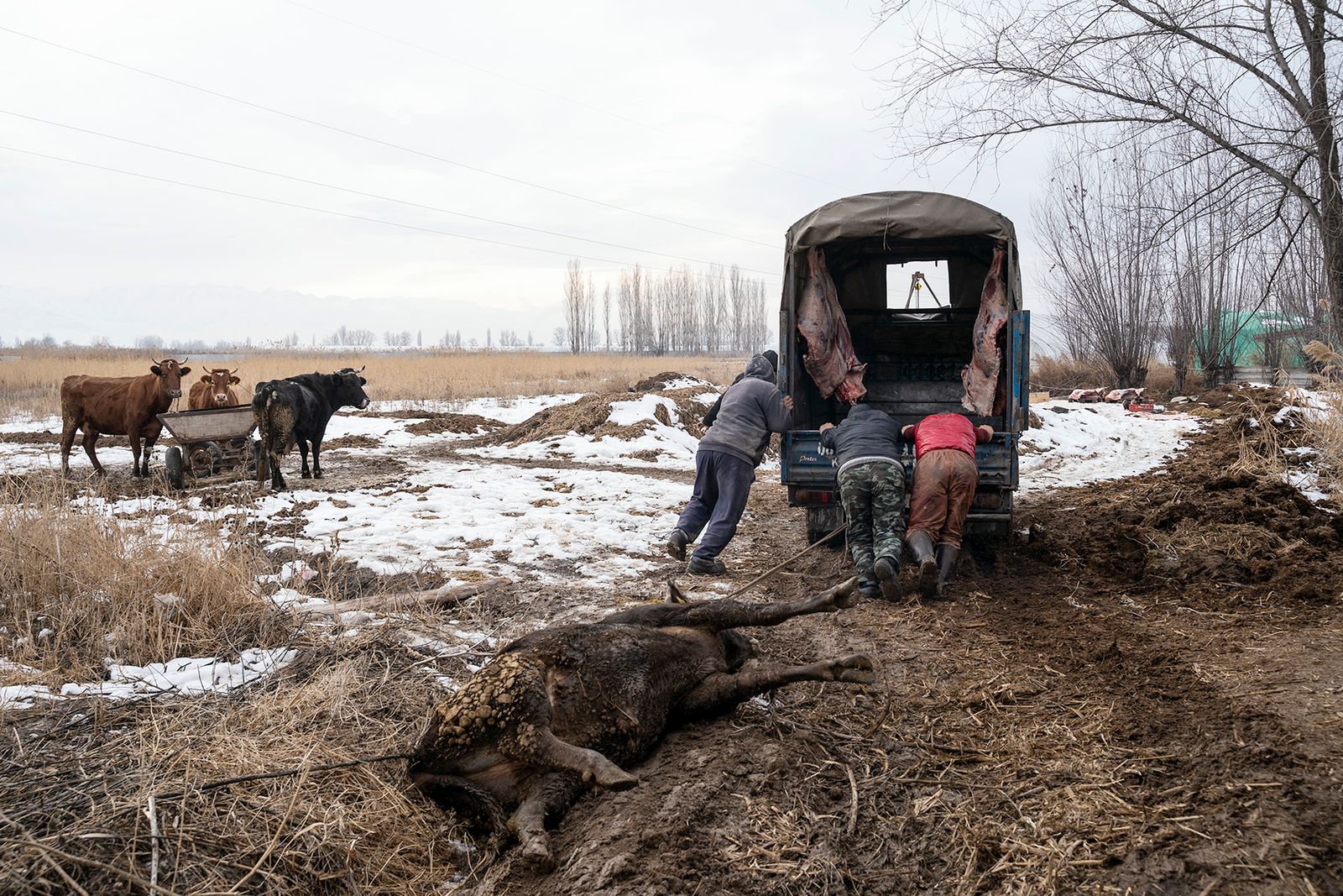 © Yam G-Jun 严居骏 - Image from the The Dungan People - 100 Years after migration to Central Asia photography project
