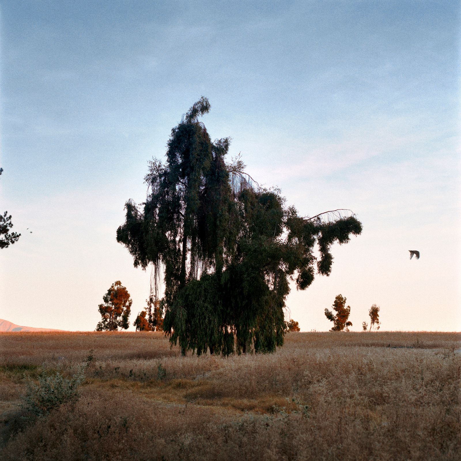 © gabriela concha - Image from the Cuajone photography project