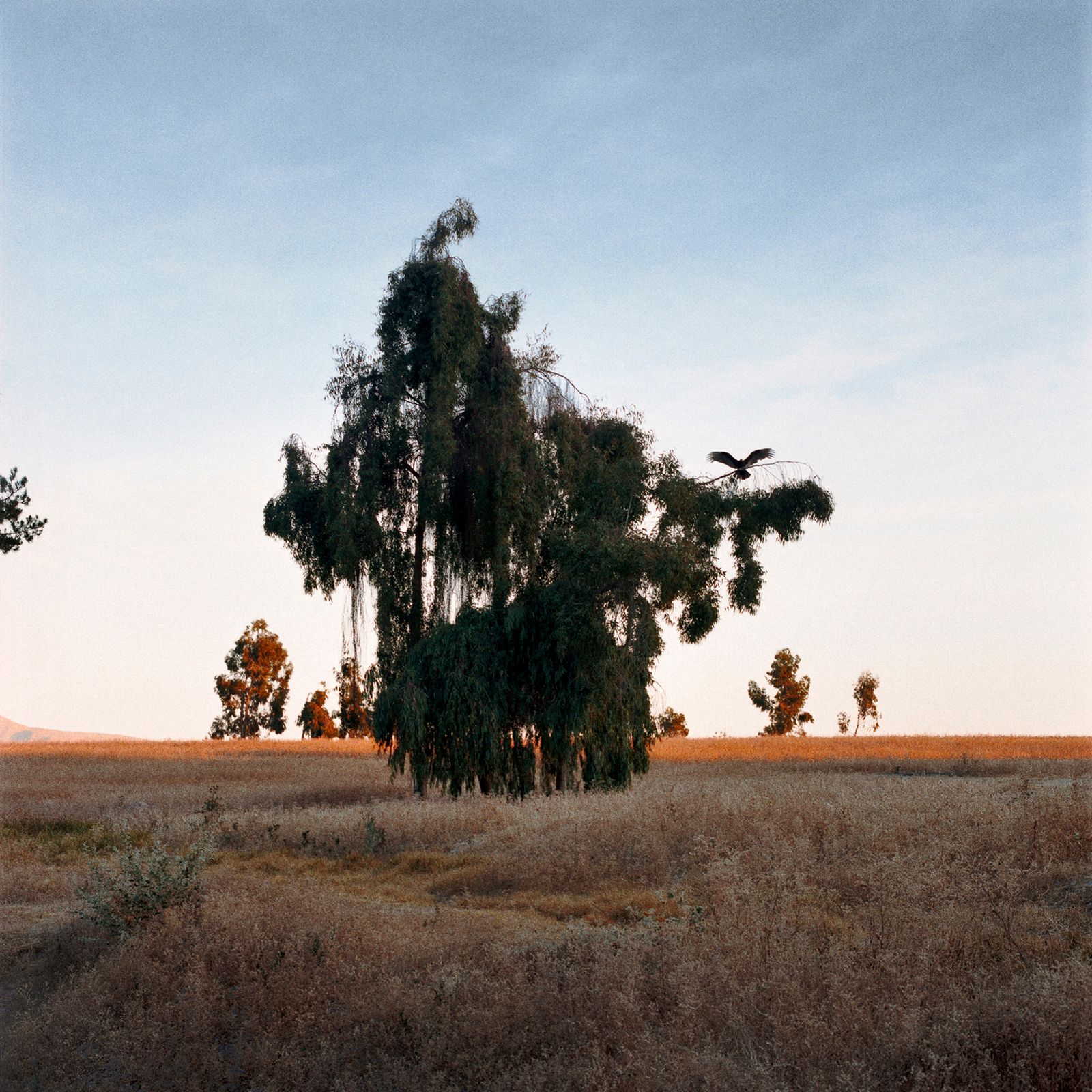 © gabriela concha - Image from the Cuajone photography project