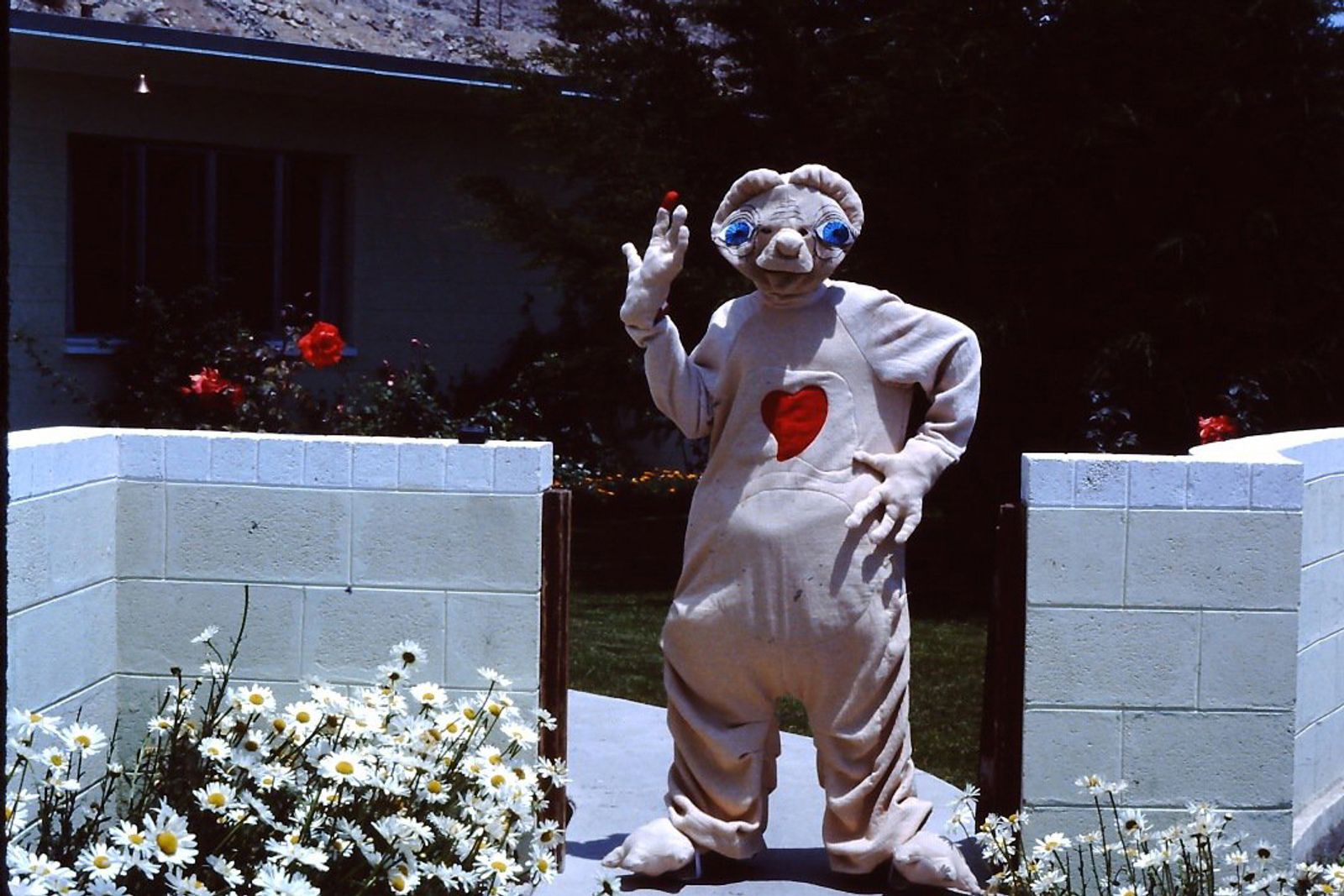 © gabriela concha - Image from the El Tesoro de Salaverry (Salaverry's Treasure) photography project