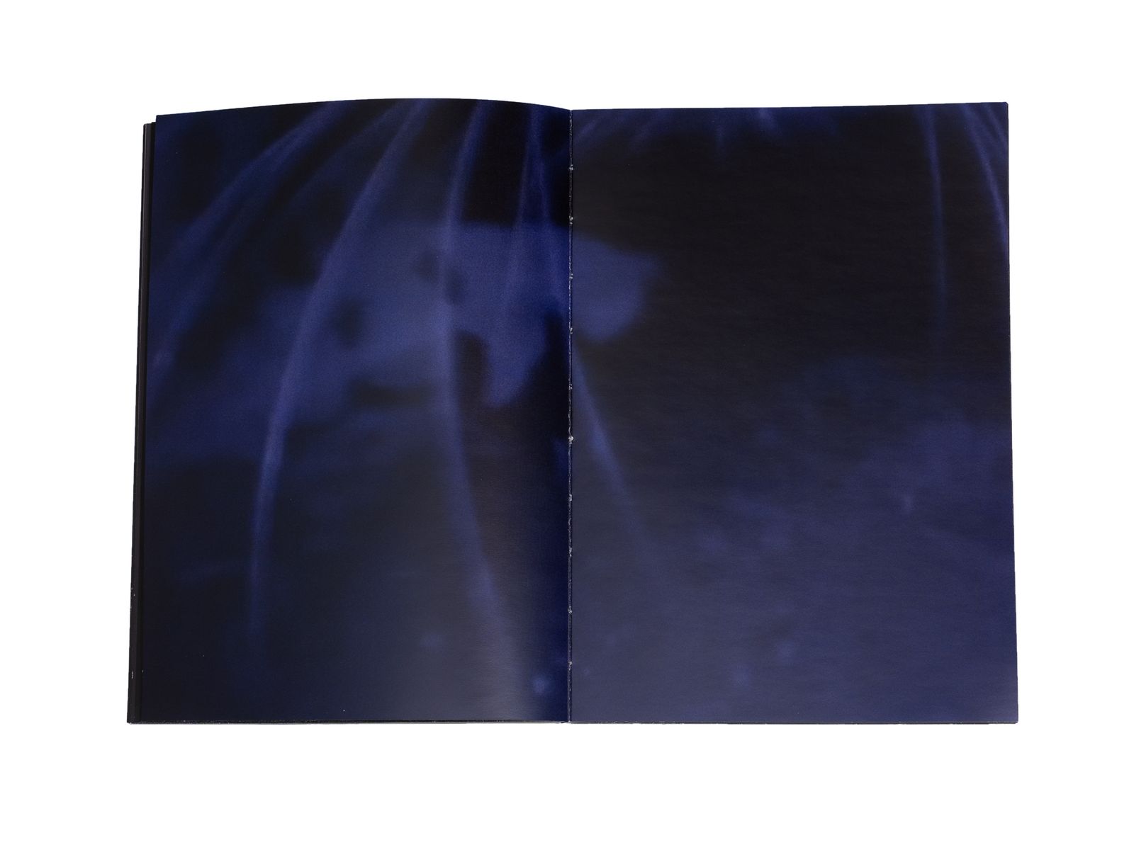 Photobook My Nonhuman Friends