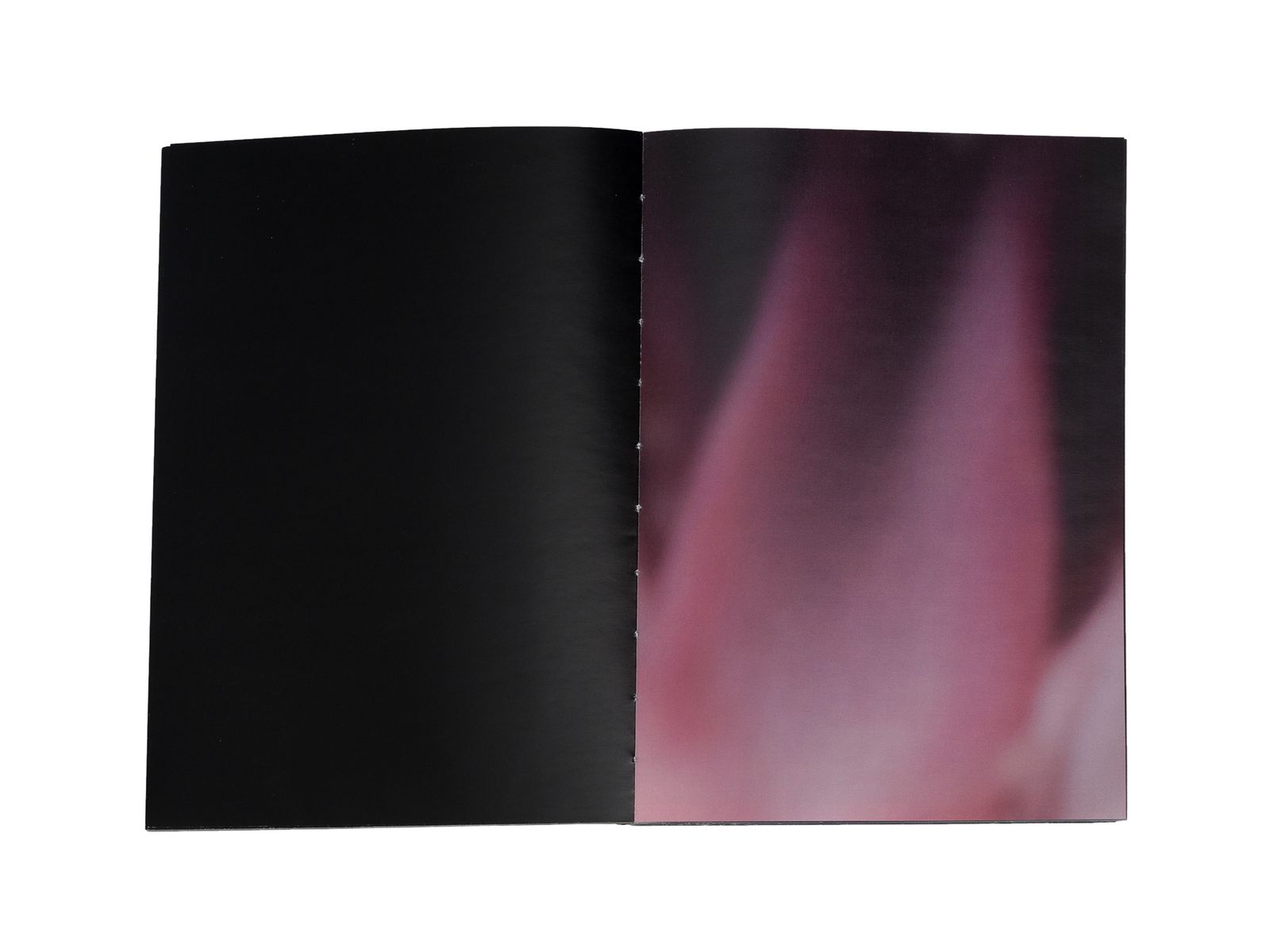Photobook My Nonhuman Friends