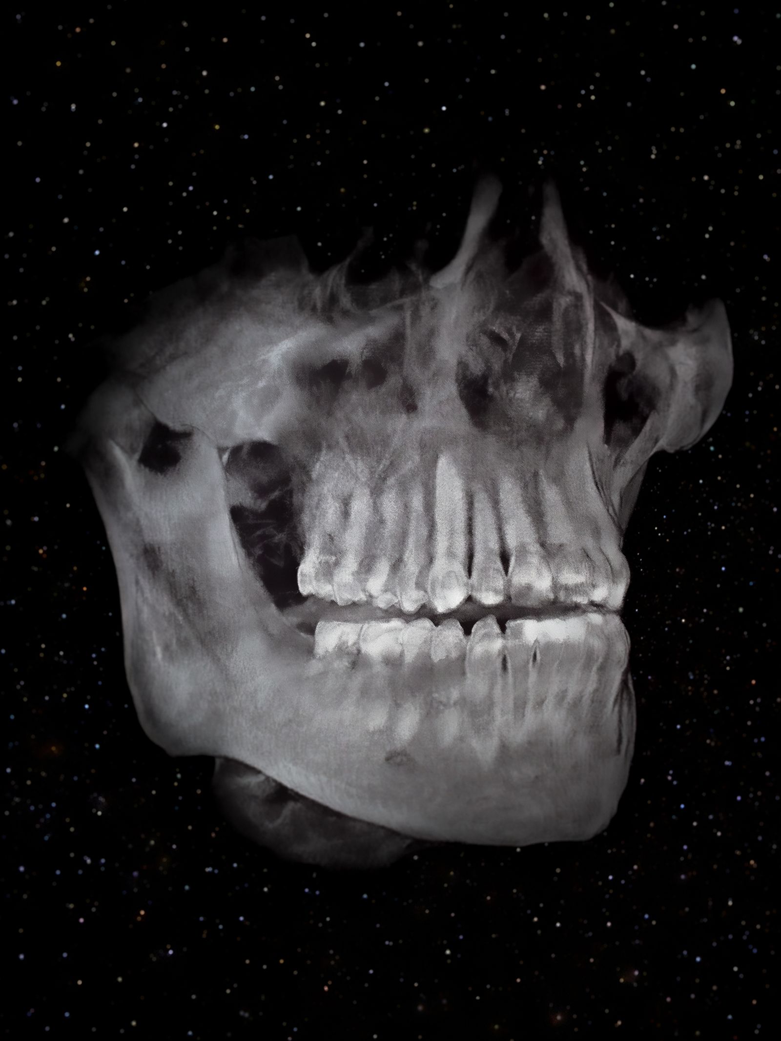 © Nika Sandler - Image from the A History of Teeth photography project