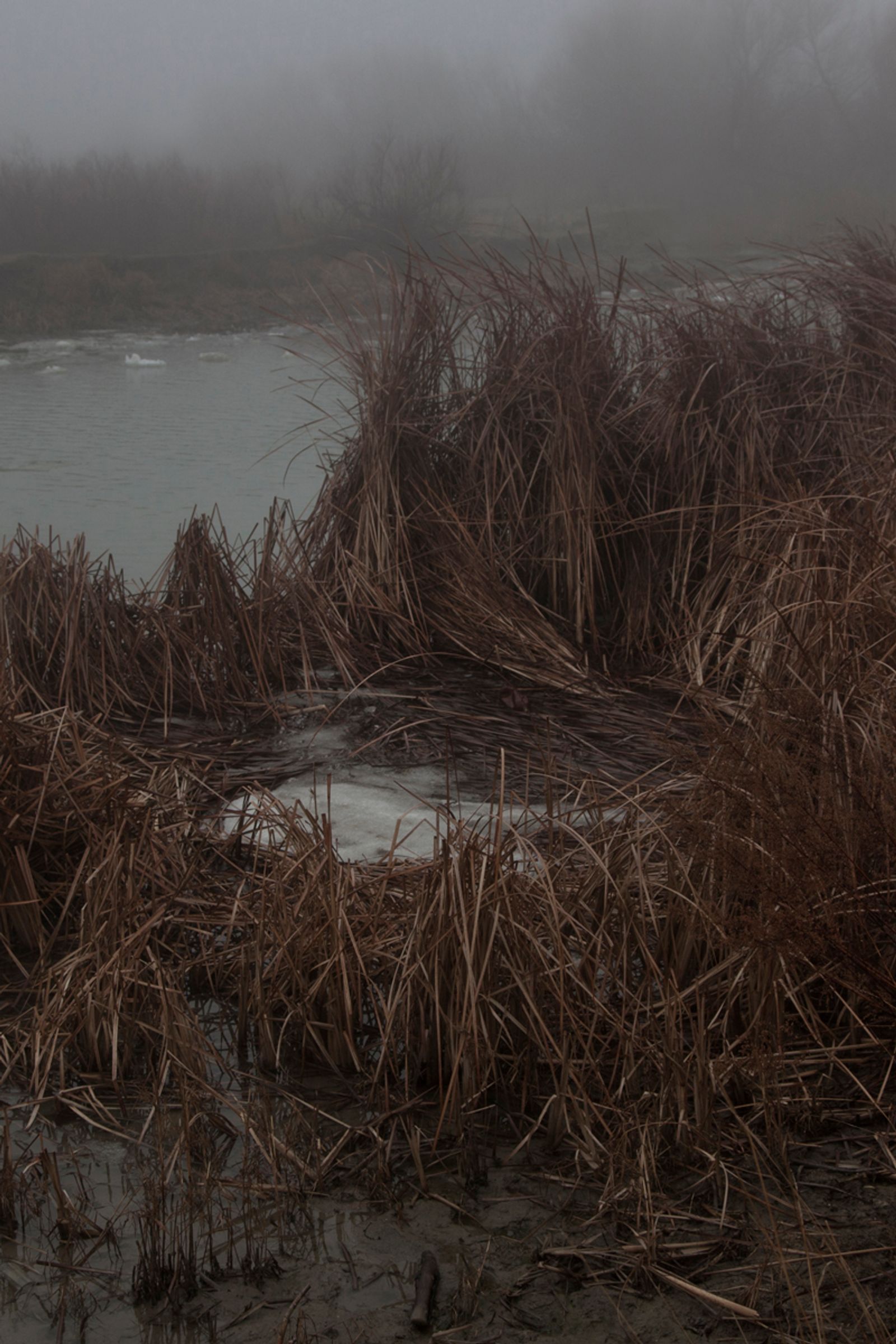 © Camilla de Maffei - Image from the DELTA photography project