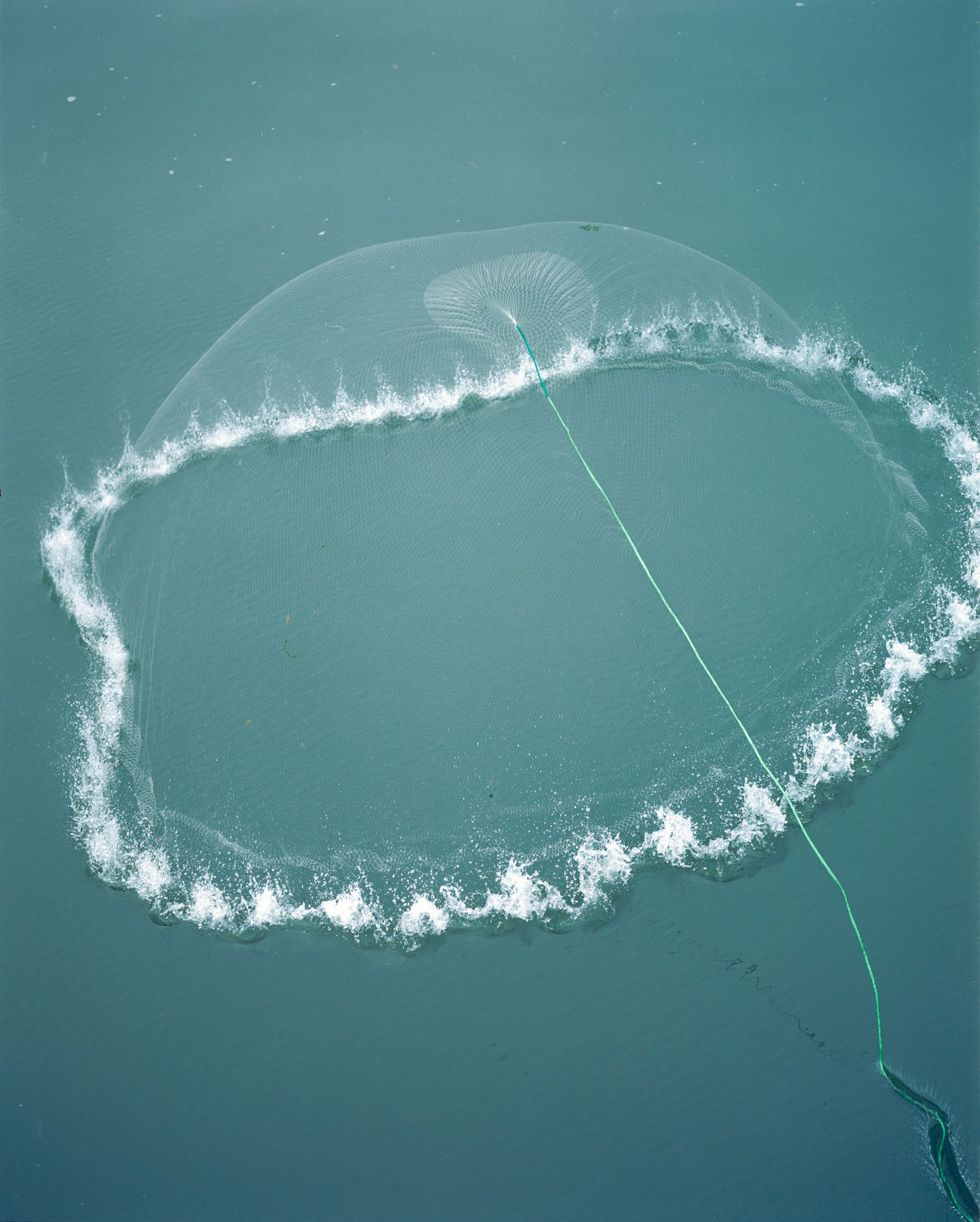 © Tianxi Wang - Image from the So long, and thanks for all the fish photography project