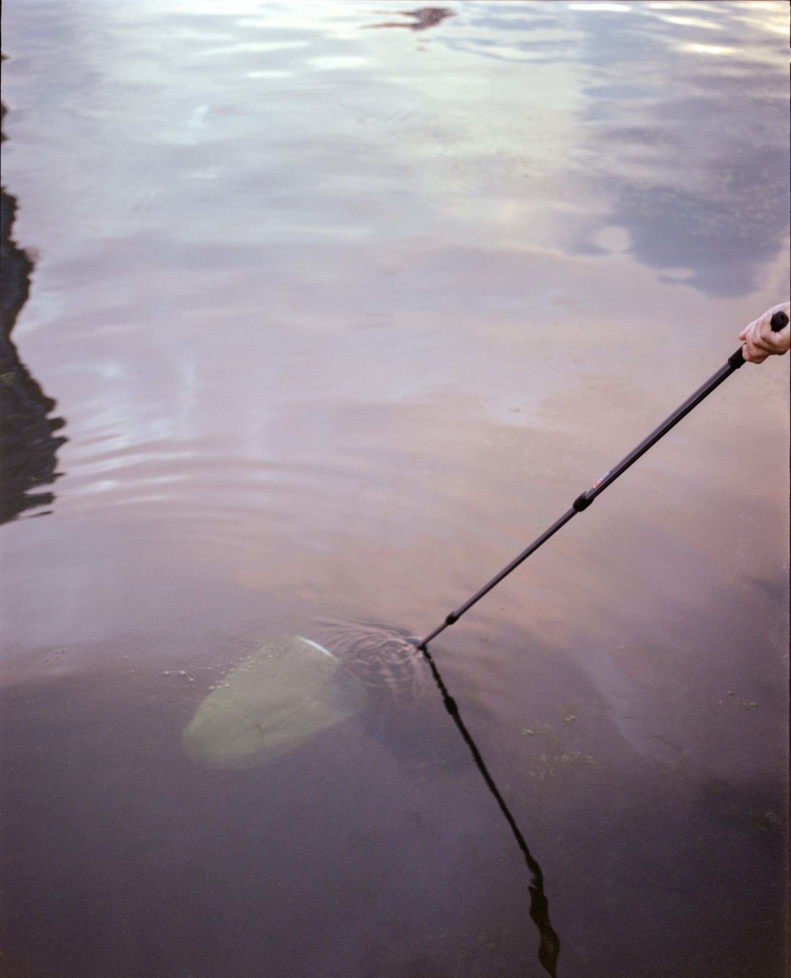 © Tianxi Wang - Image from the So long, and thanks for all the fish photography project