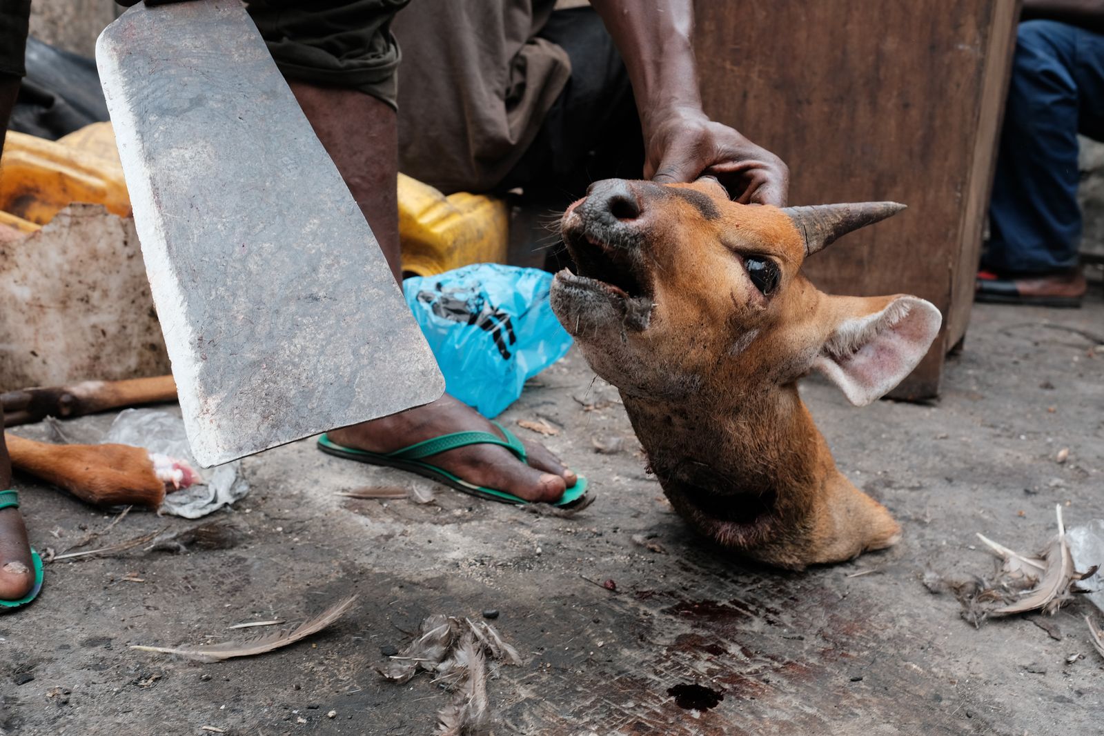 © Nyani Quarmyne - Image from the The Price of Bushmeat photography project