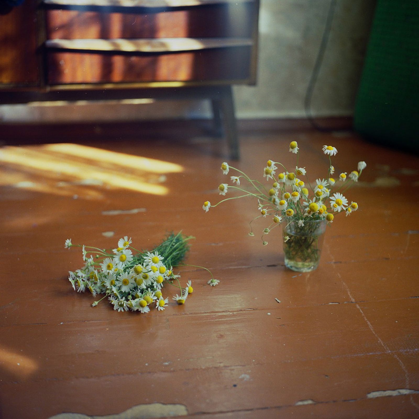© Kate Dmitrieva - Image from the Broken flowers  photography project