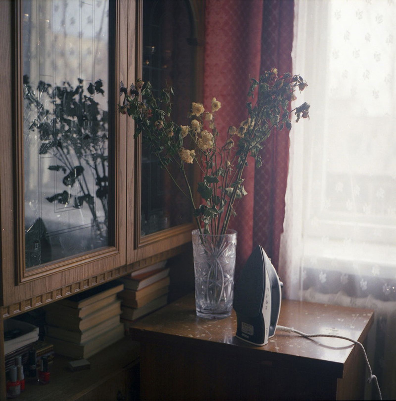 © Kate Dmitrieva - Image from the Broken flowers  photography project