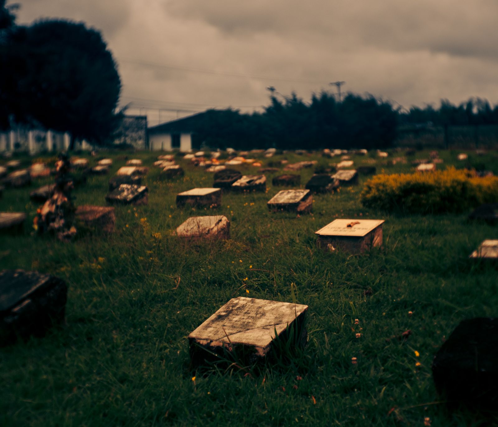© Jorge Panchoaga - tombs in Popayán, Cauca. One of the most conflicting areas in Colombia.