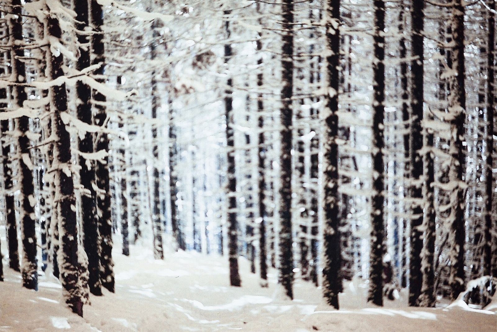 © Varvara Uhlik - Winter, it can be severe.