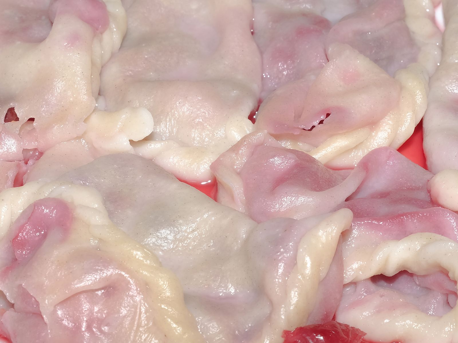 © Varvara Uhlik - Sour Cherry Varenyky