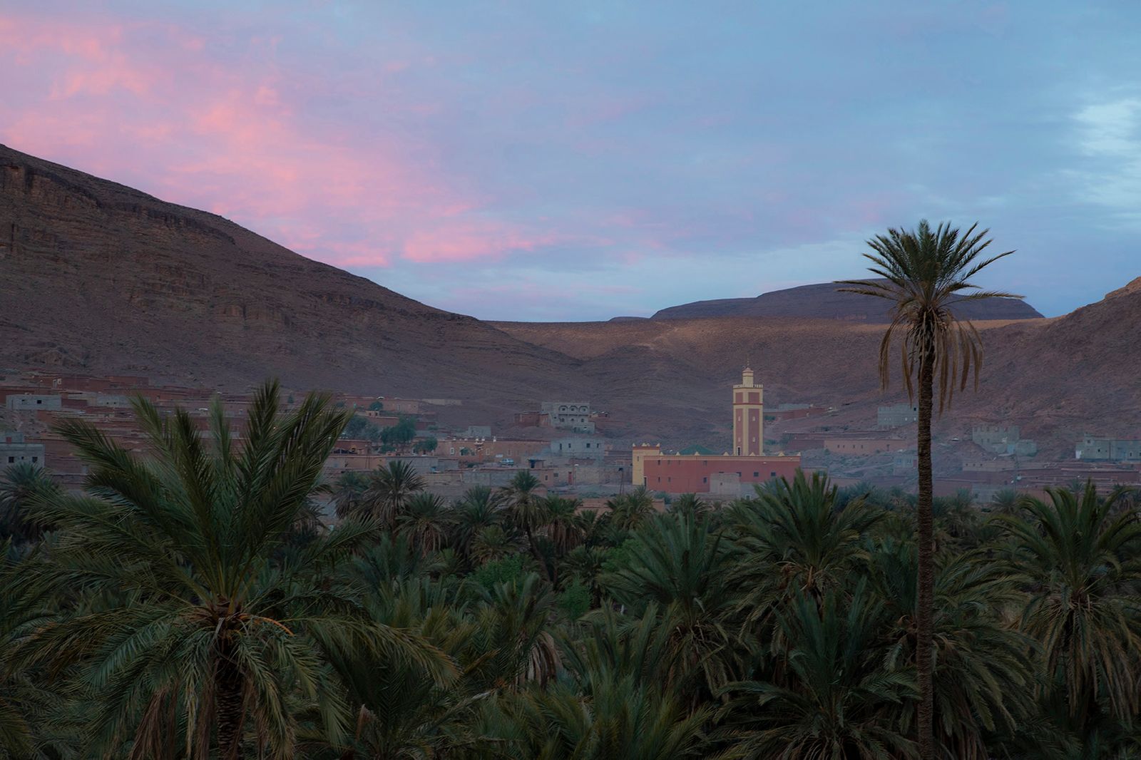 © Matilde Gattoni - Morocco - Fint - Sun rises on the Oasis of Fint, one of the best preserved oasis in Morocco.