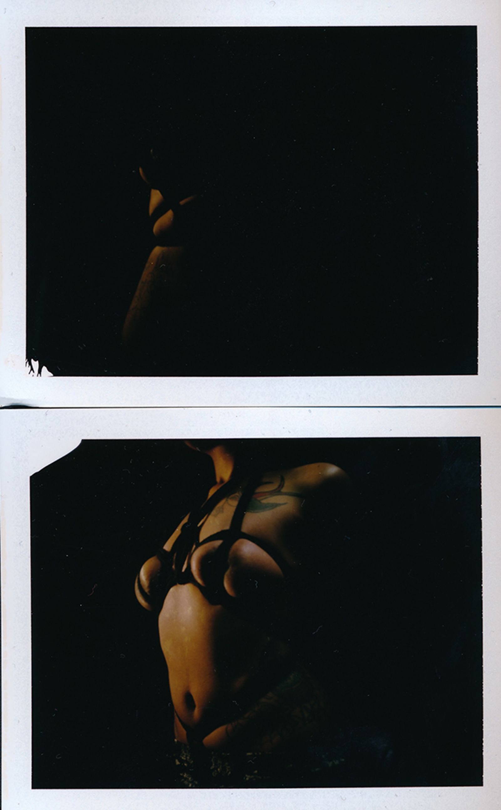 © Felicita Maynard - Skully I, Polaroid, 2016