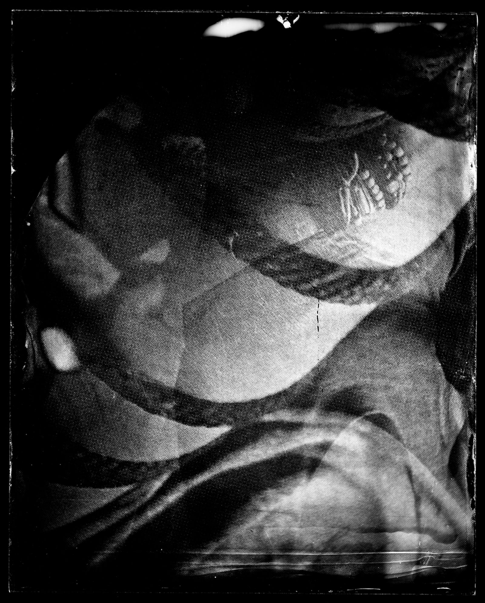 © Felicita Maynard - Bound II, 2019, Tintype