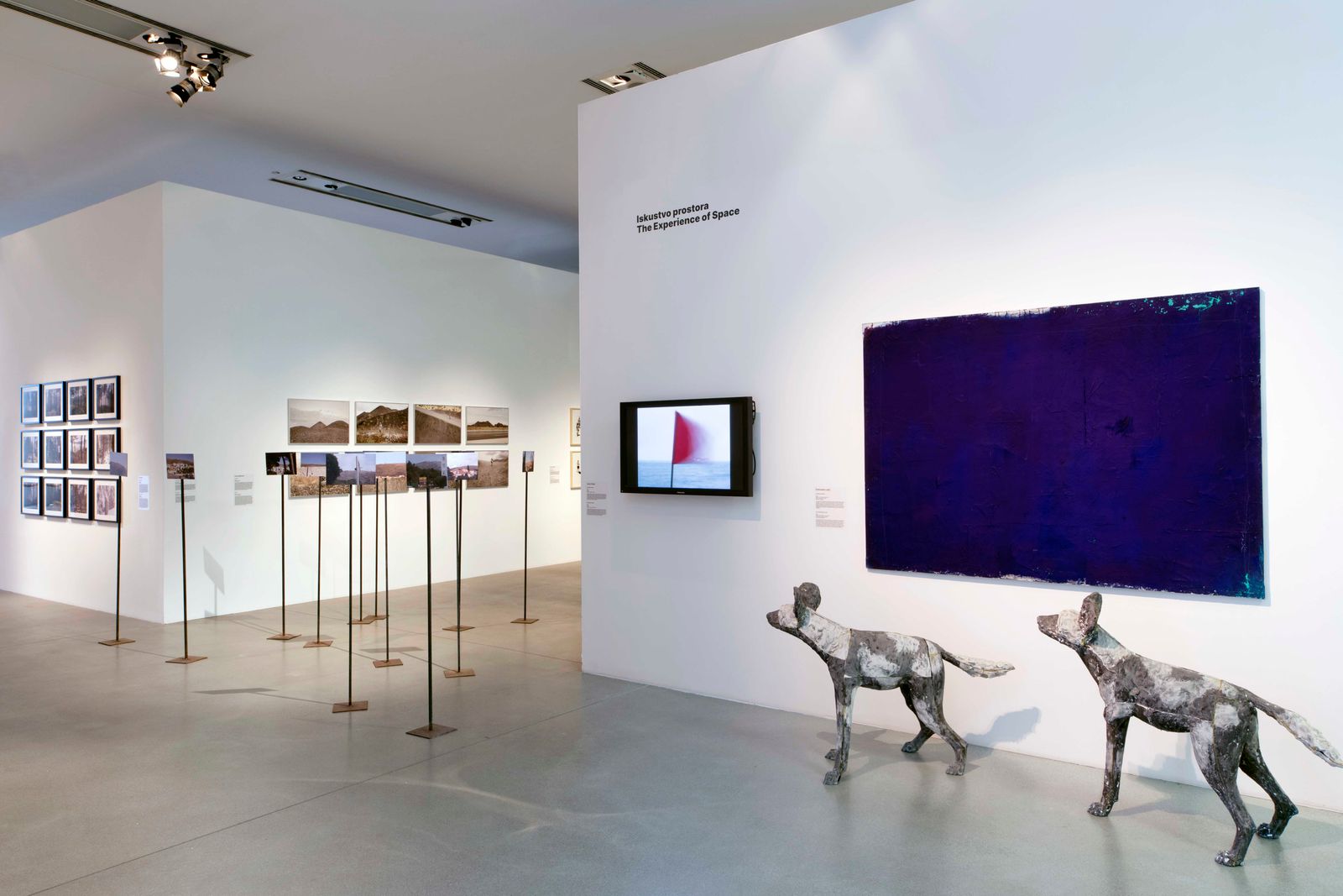 © Nives Sertić - 3 to 10, Trees @ The Visible Ones, Museum of Contemporary Art Zagreb, Croatia 2023, photo Ana Opalić