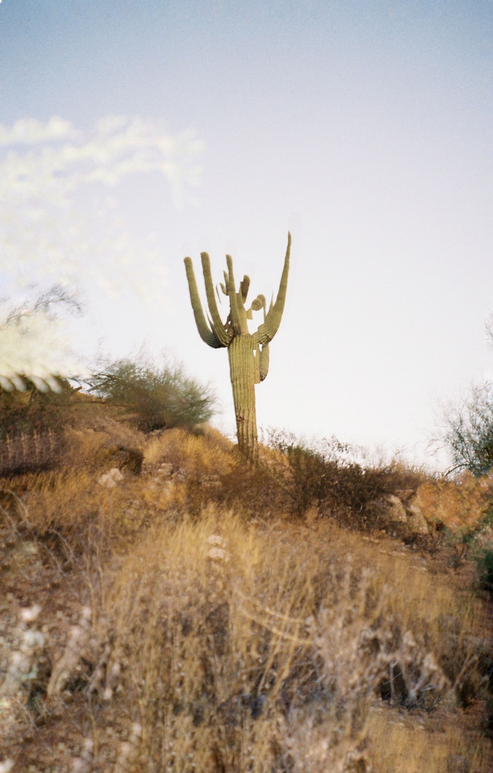 © postokhsas - Image from the Instinct photography project