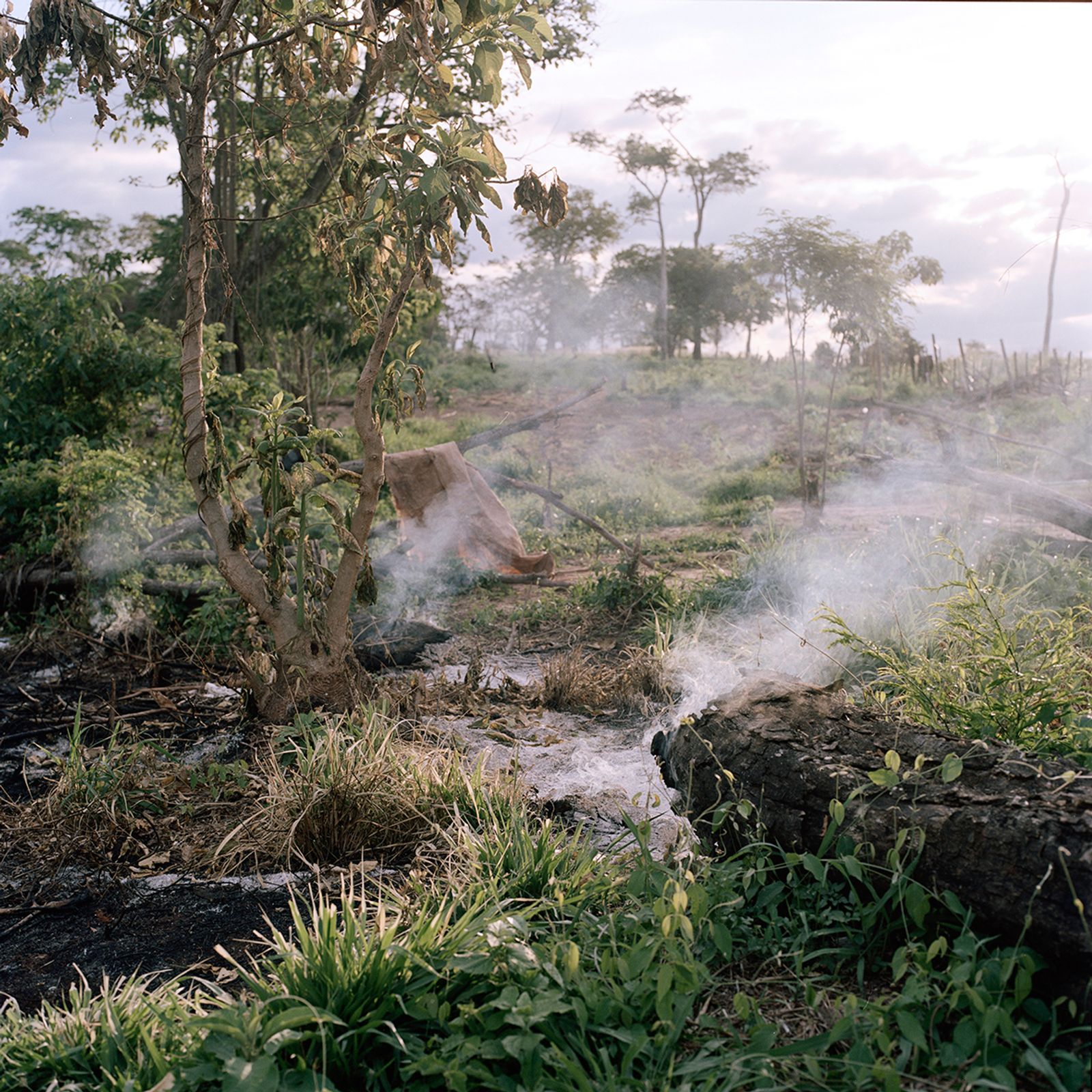 © Jordi Ruiz Cirera - Image from the The United soya republic photography project